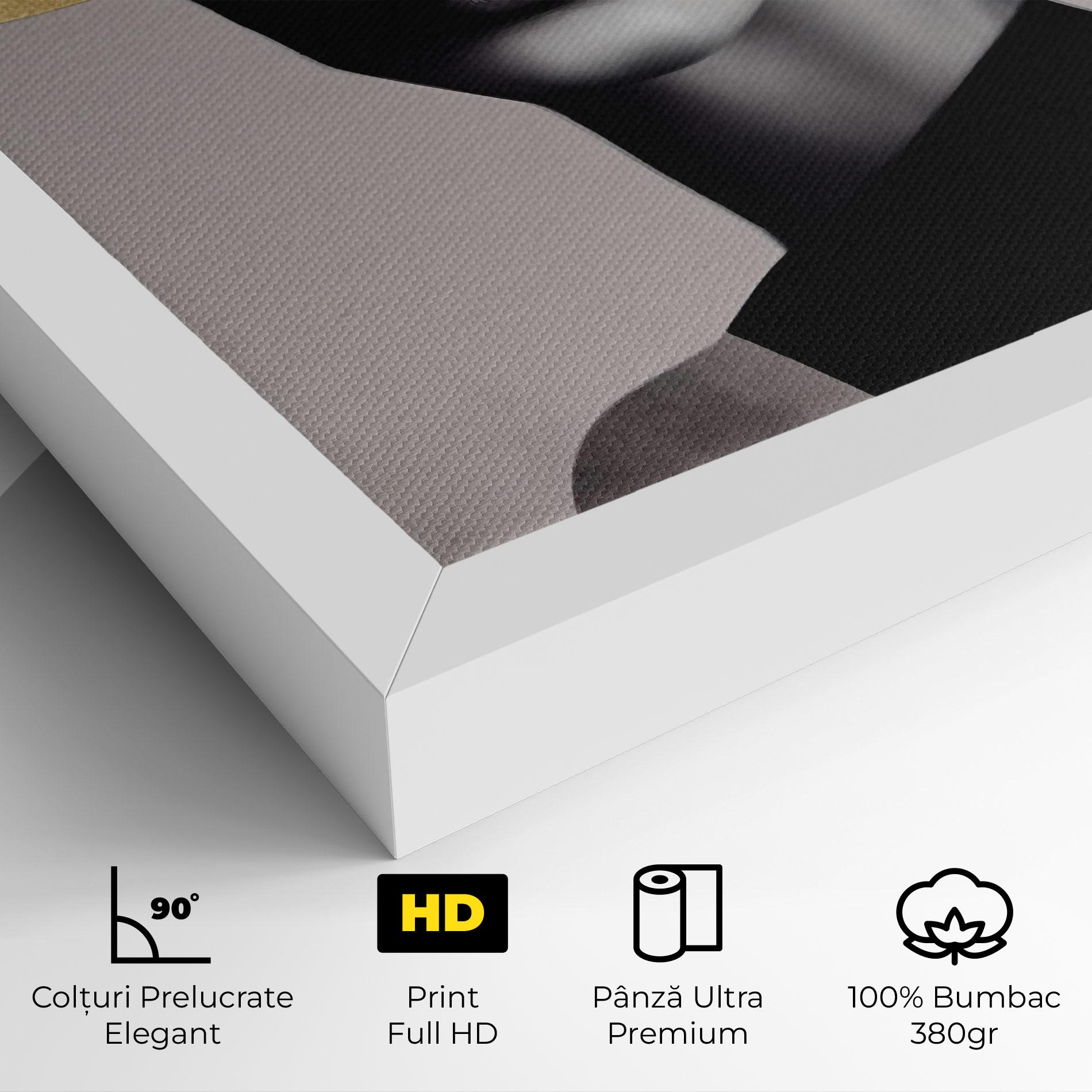 Tablou Canvas Grey Lips mockup 4