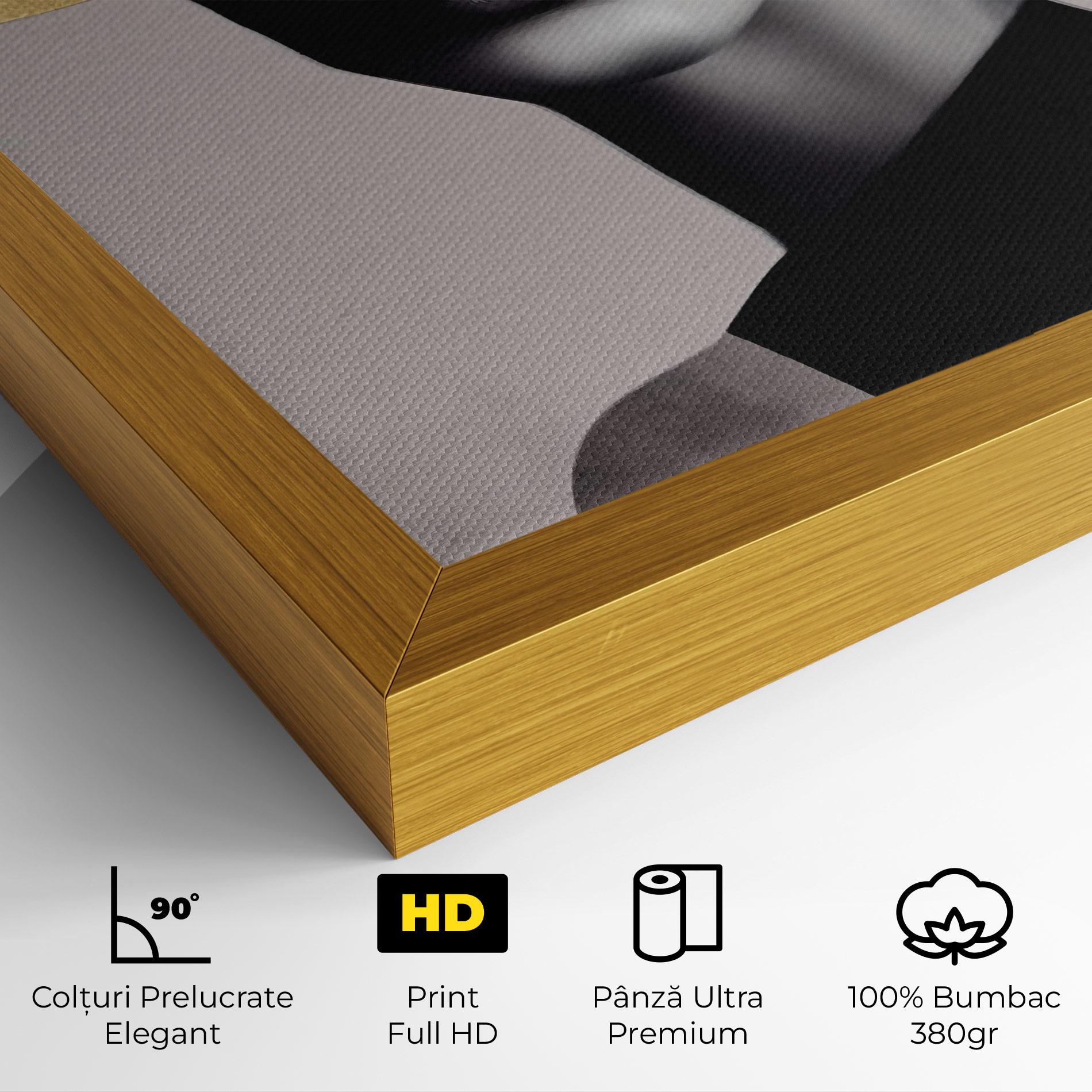 Tablou Canvas Grey Lips mockup 4
