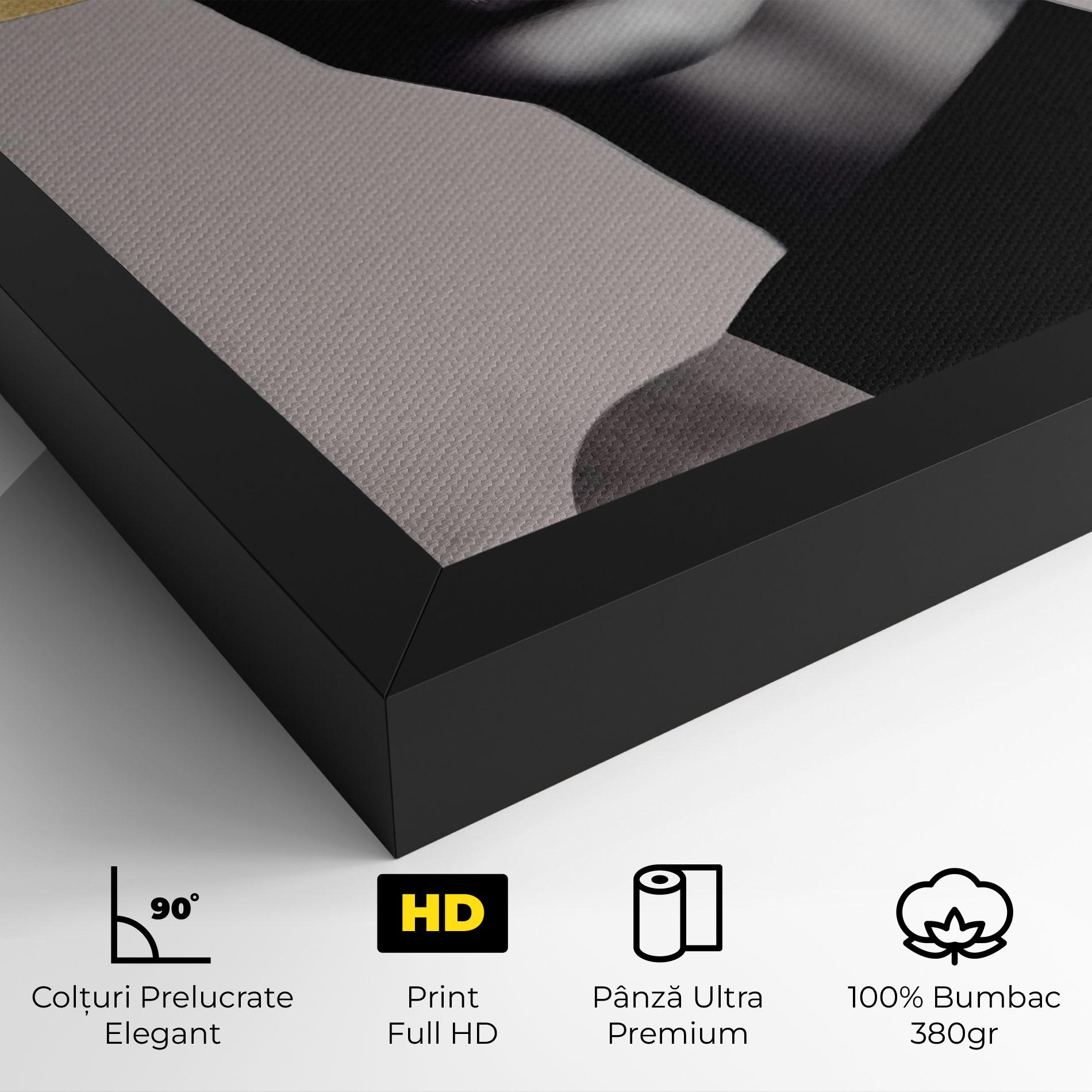 Tablou Canvas Grey Lips mockup 4