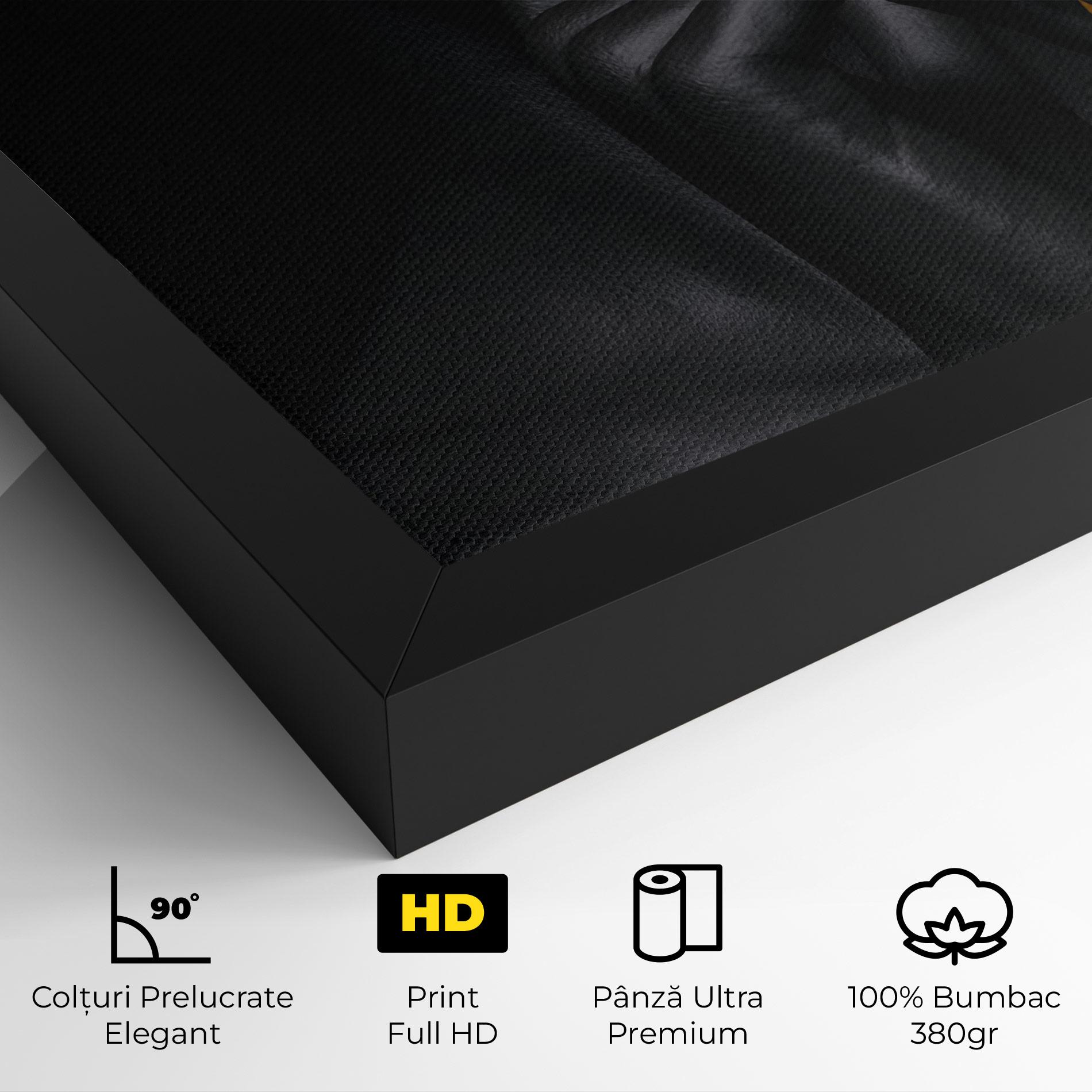 Tablou Canvas Silence Lips Portrait mockup 4