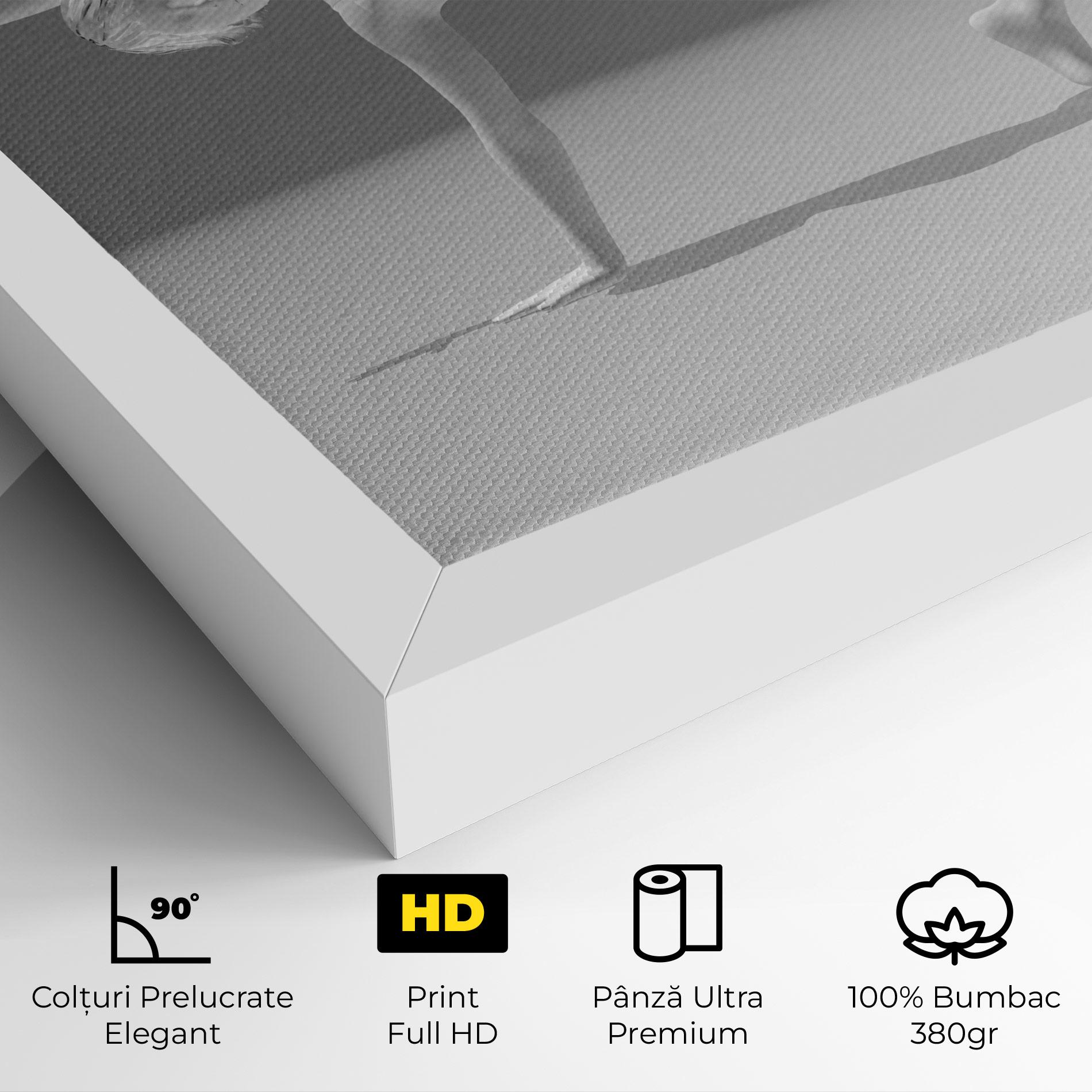 Tablou Canvas 3d Gymnastic Pose mockup 4