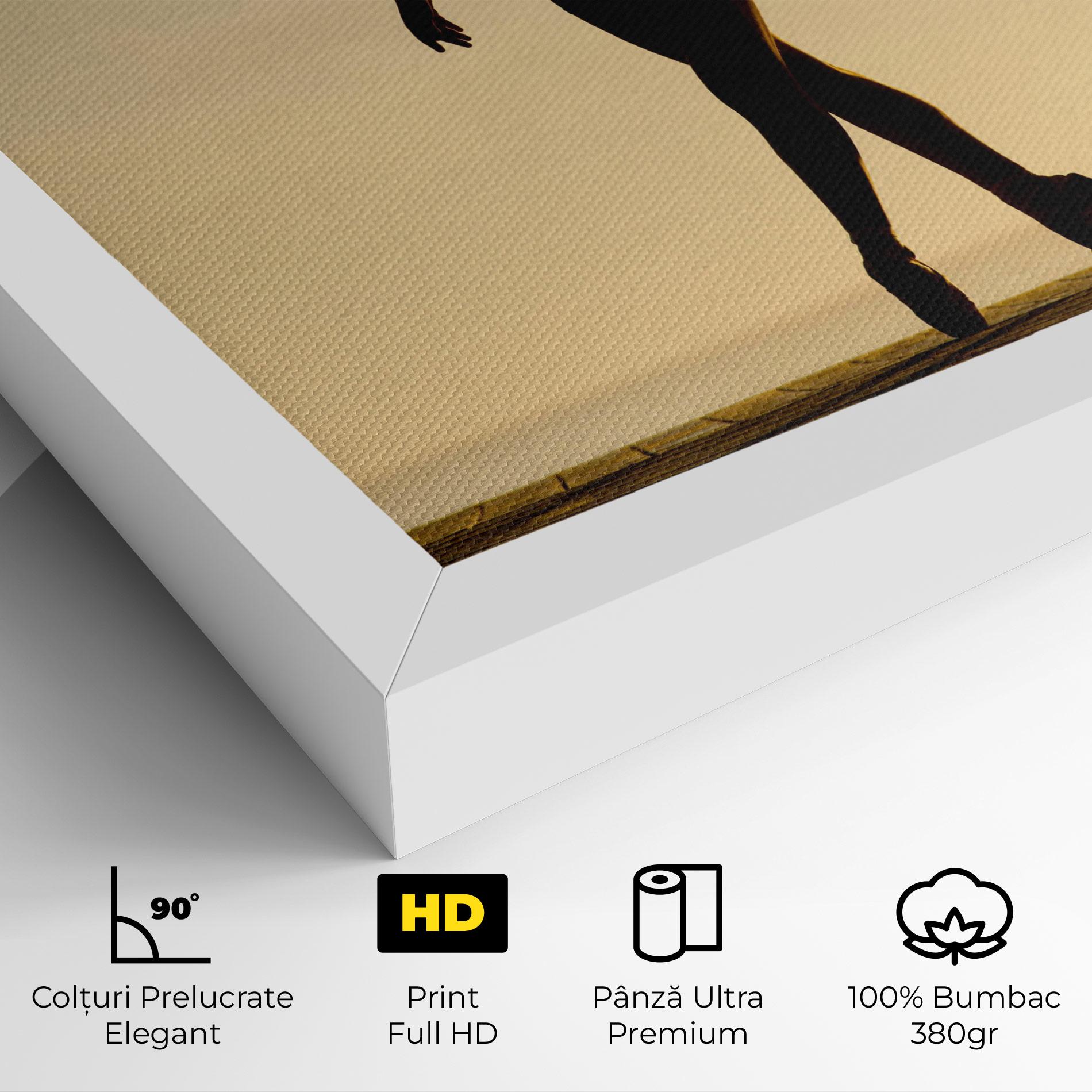 Tablou Canvas Ballet On Cream mockup 4