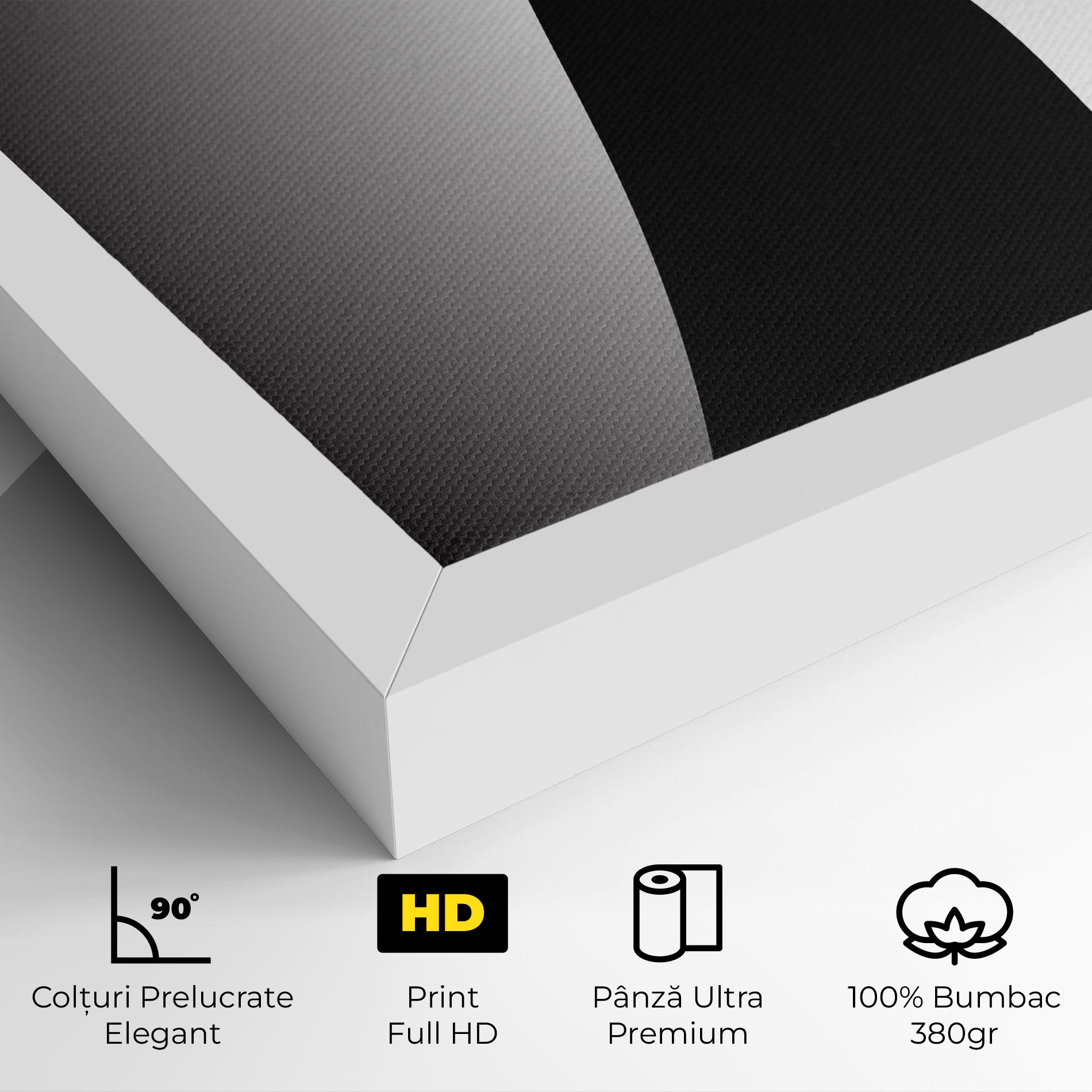 Tablou Canvas Big Hat Lady mockup 4