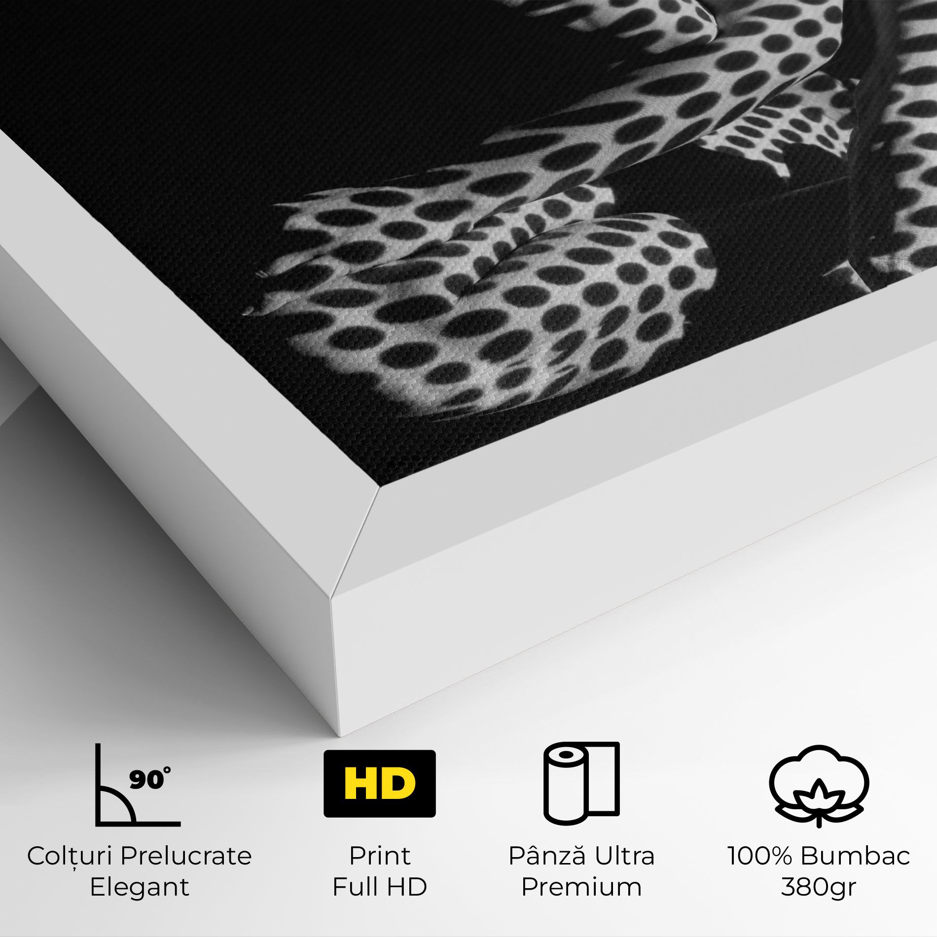 Black White Pattern Woman mockup 4