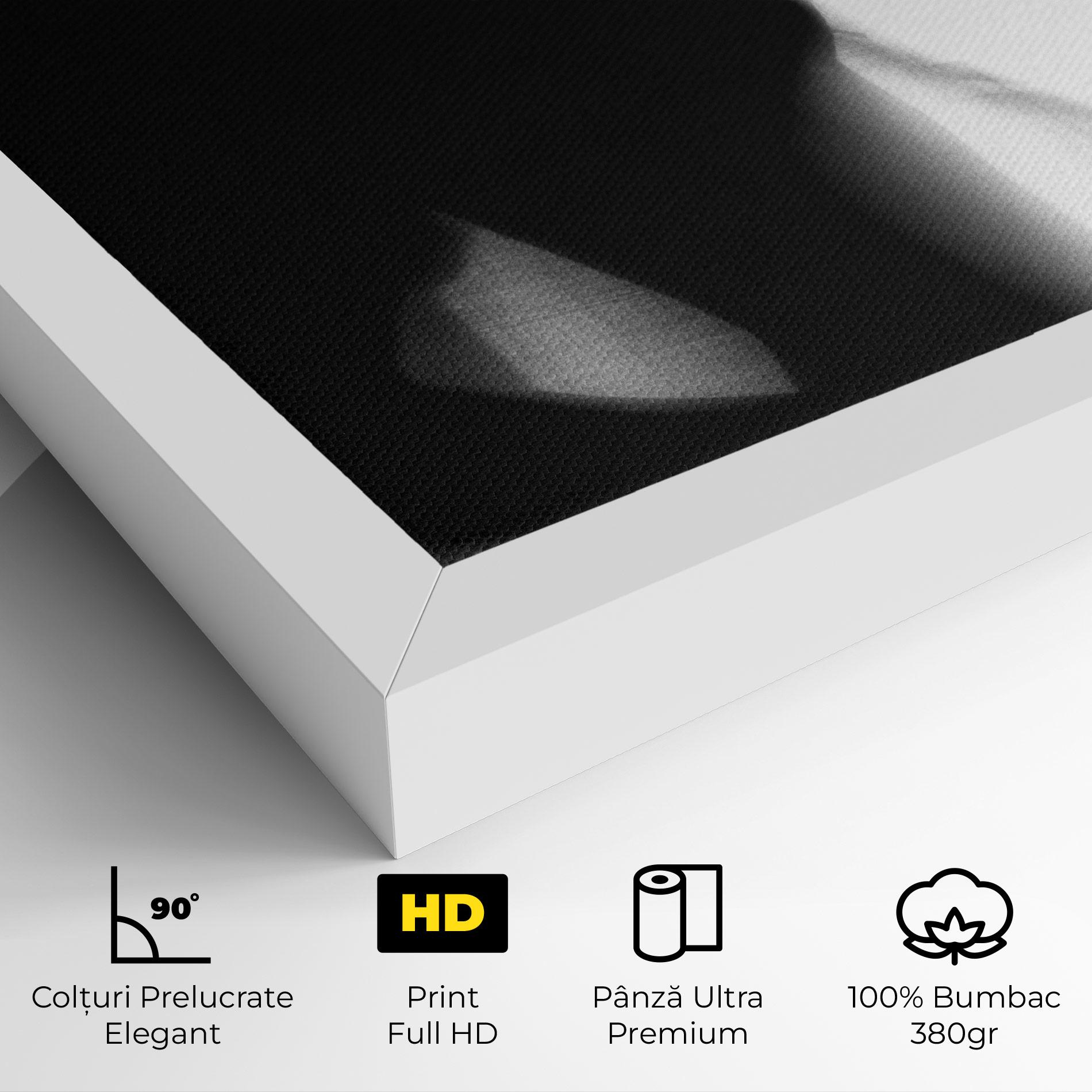 Tablou Canvas Blurred Girl mockup 4