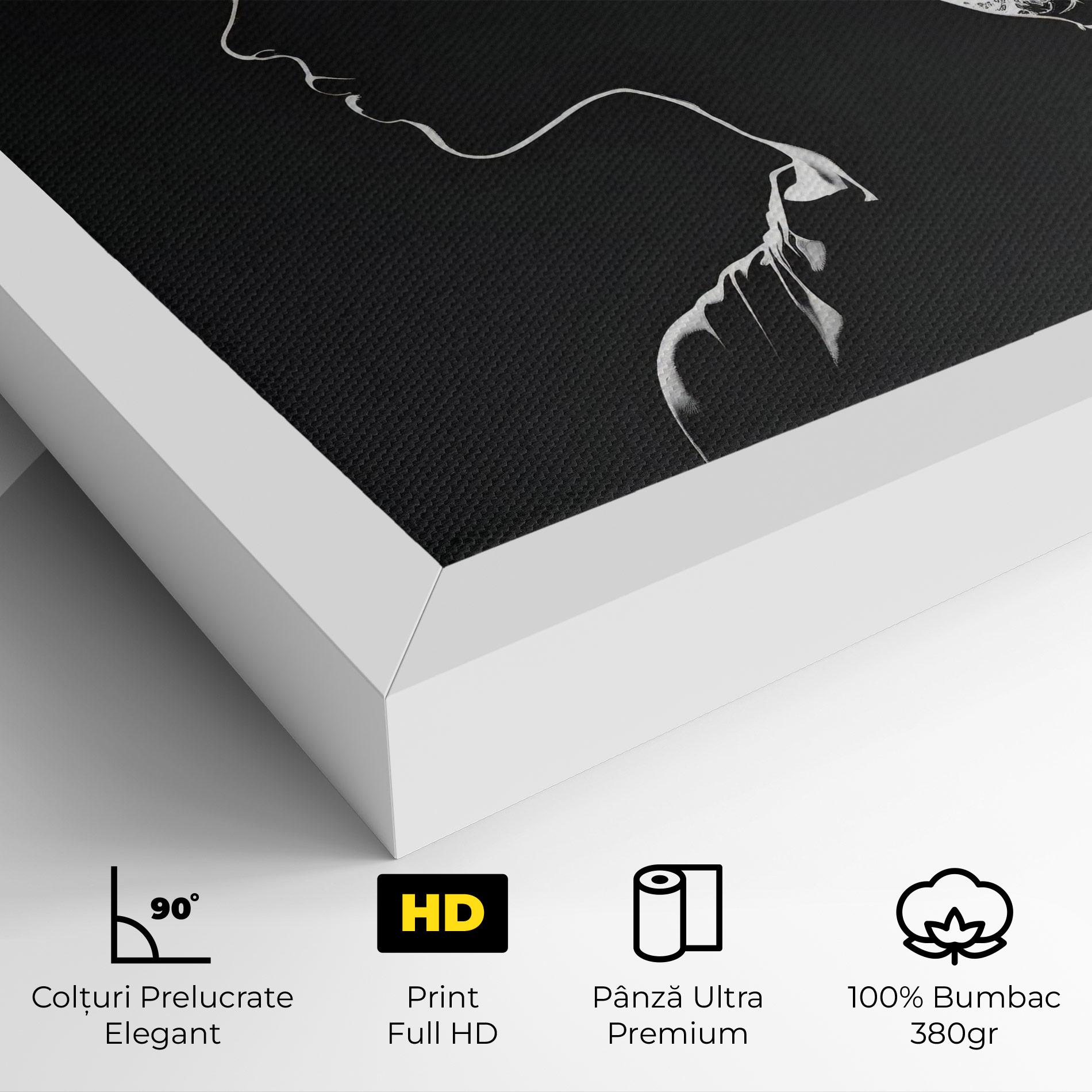 Tablou Canvas Digital Silhouette mockup 4