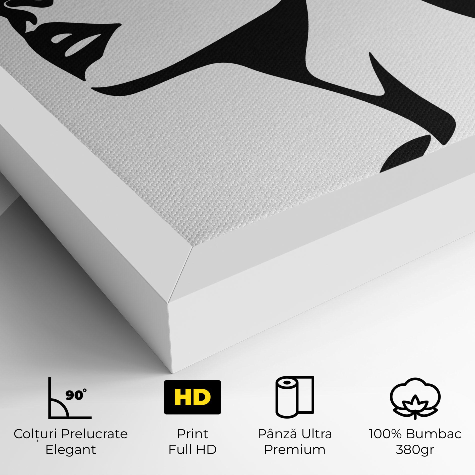 Tablou Canvas Eyeliner Shilouette mockup 4