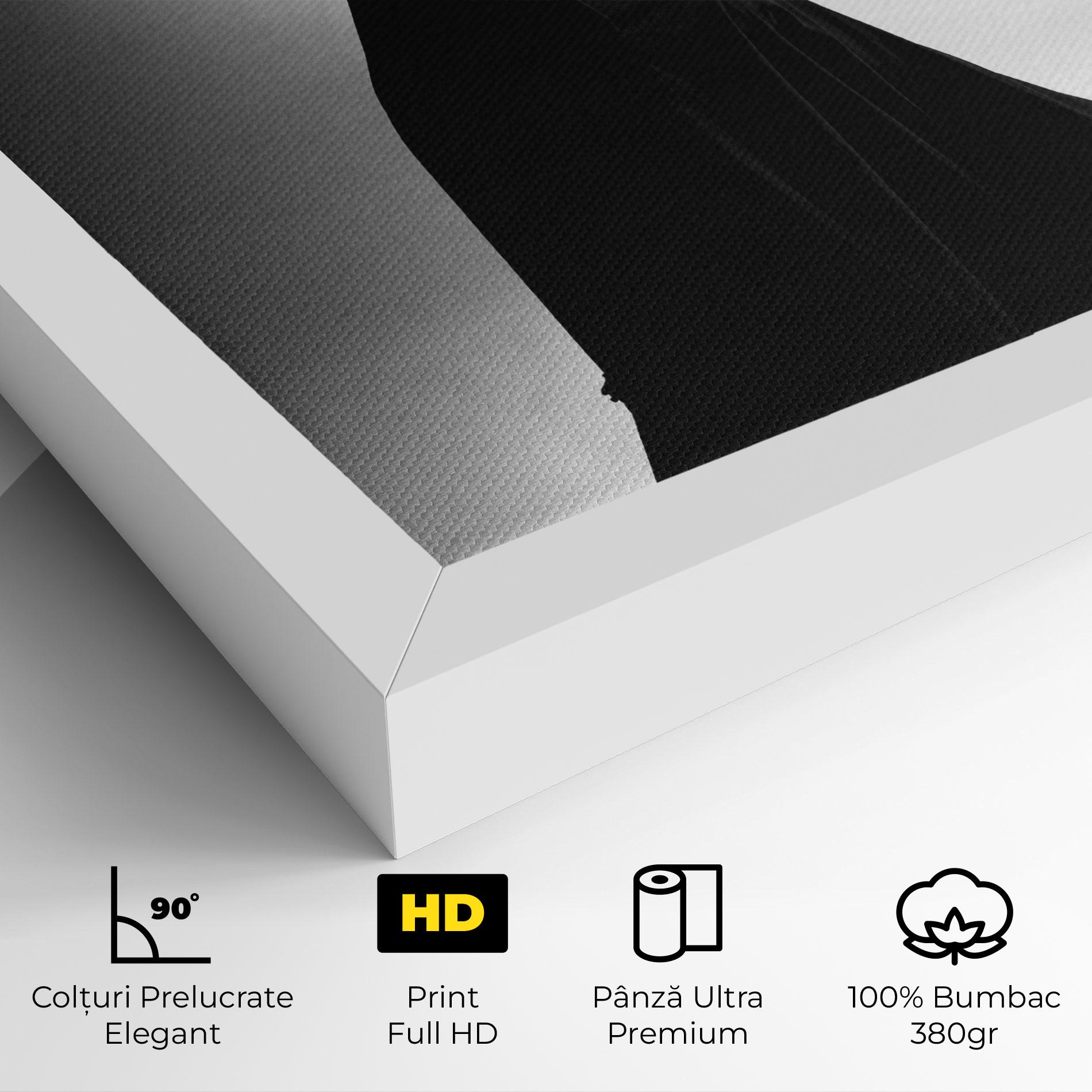 Tablou Canvas Full Shot Dancer mockup 4