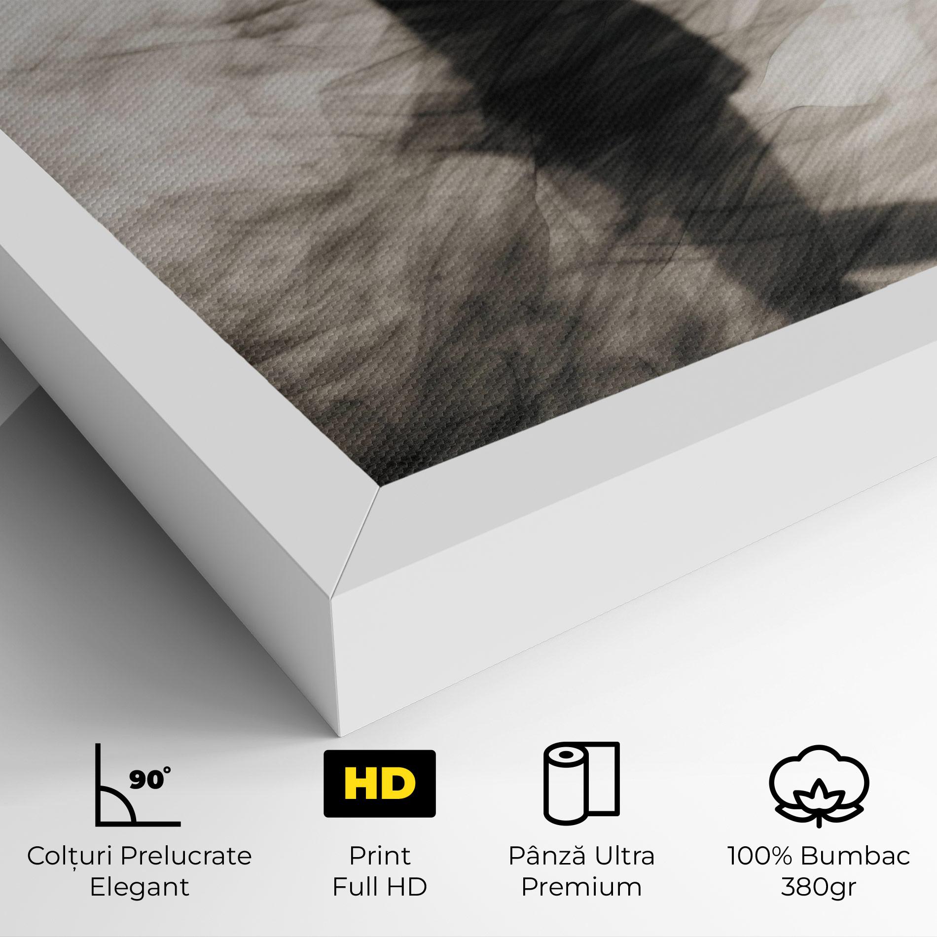 Tablou Canvas Smoke Girl Shilouette mockup 4