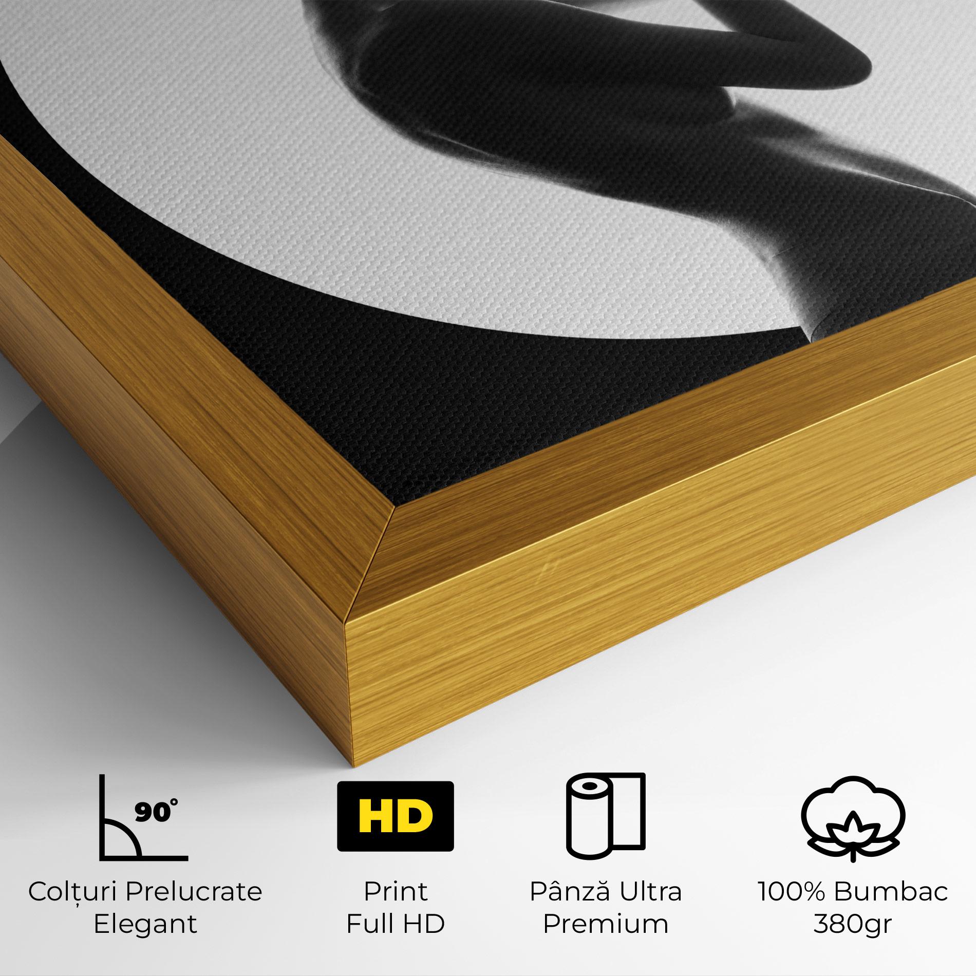 Tablou Canvas Circle Woman Body mockup 4