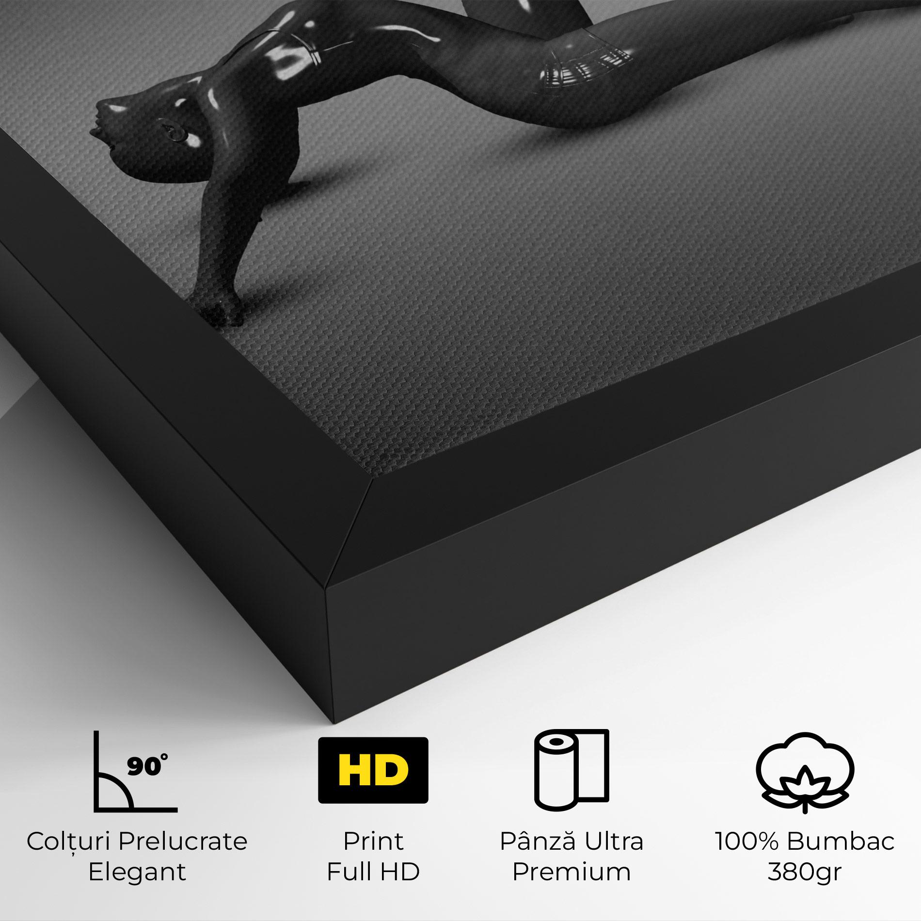 Tablou Canvas 3d Black Female mockup 4