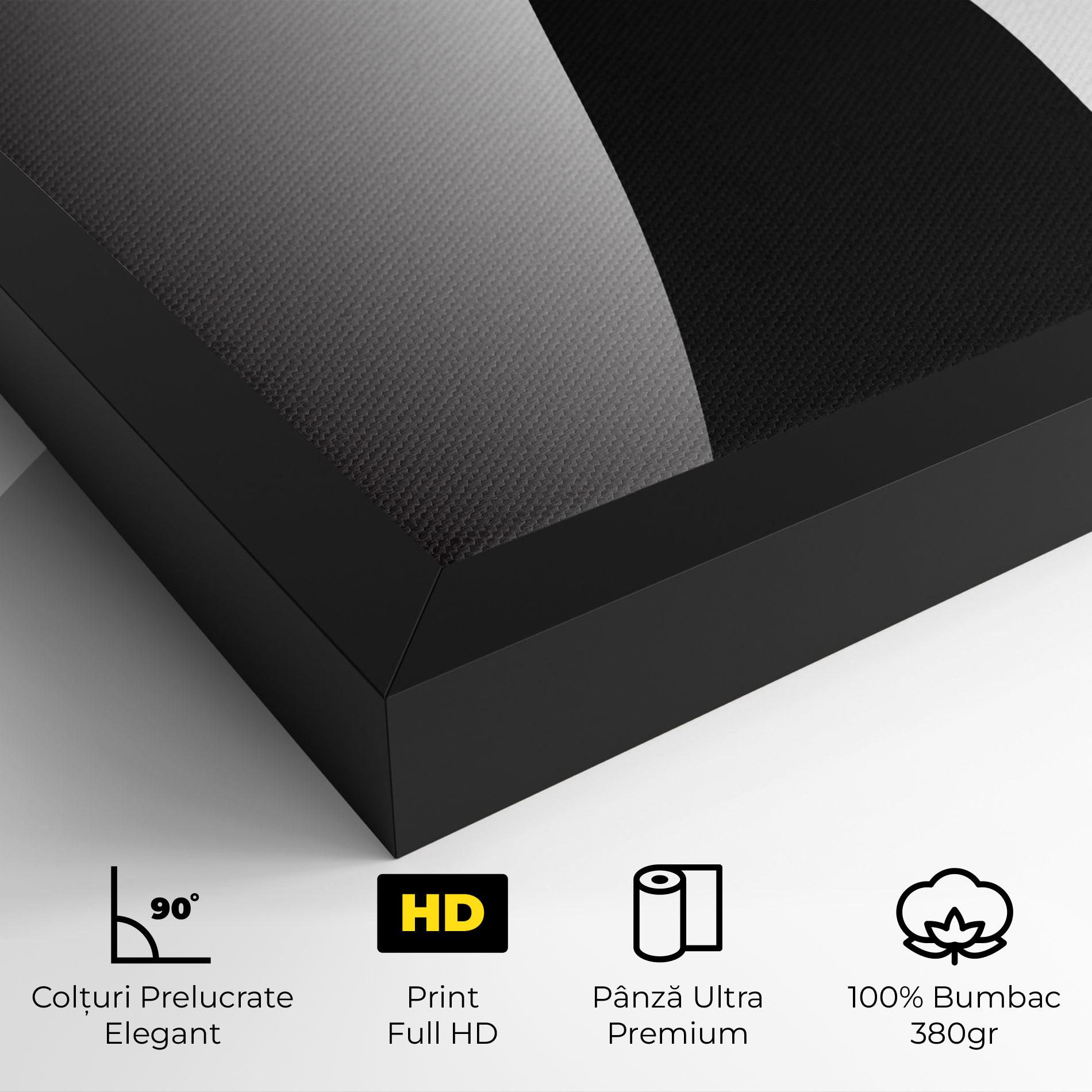 Tablou Canvas Big Hat Lady mockup 4