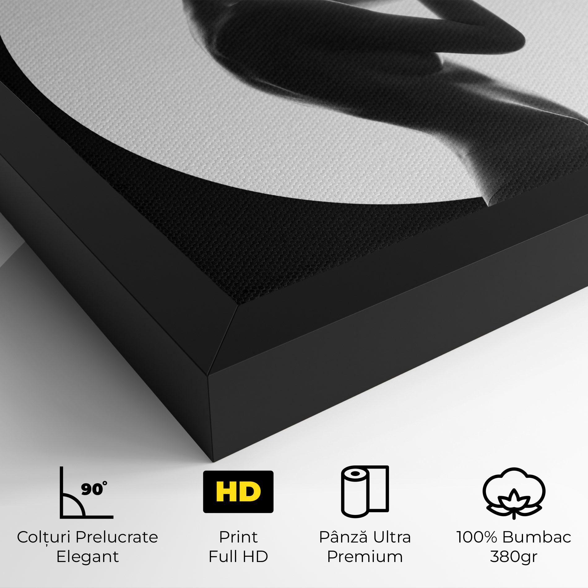 Tablou Canvas Circle Woman Body mockup 4