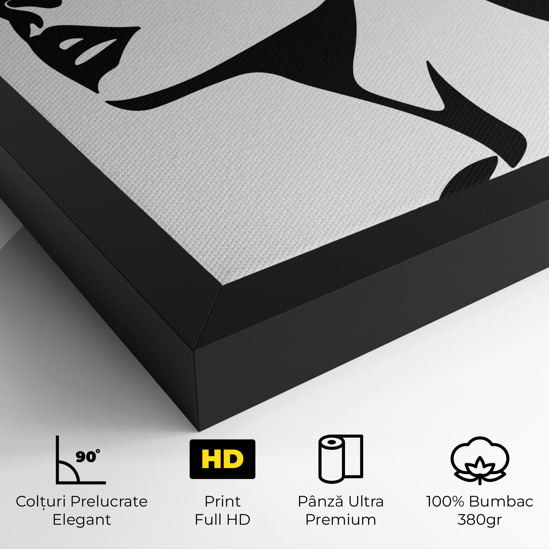 Tablou Canvas Eyeliner Shilouette mockup 4