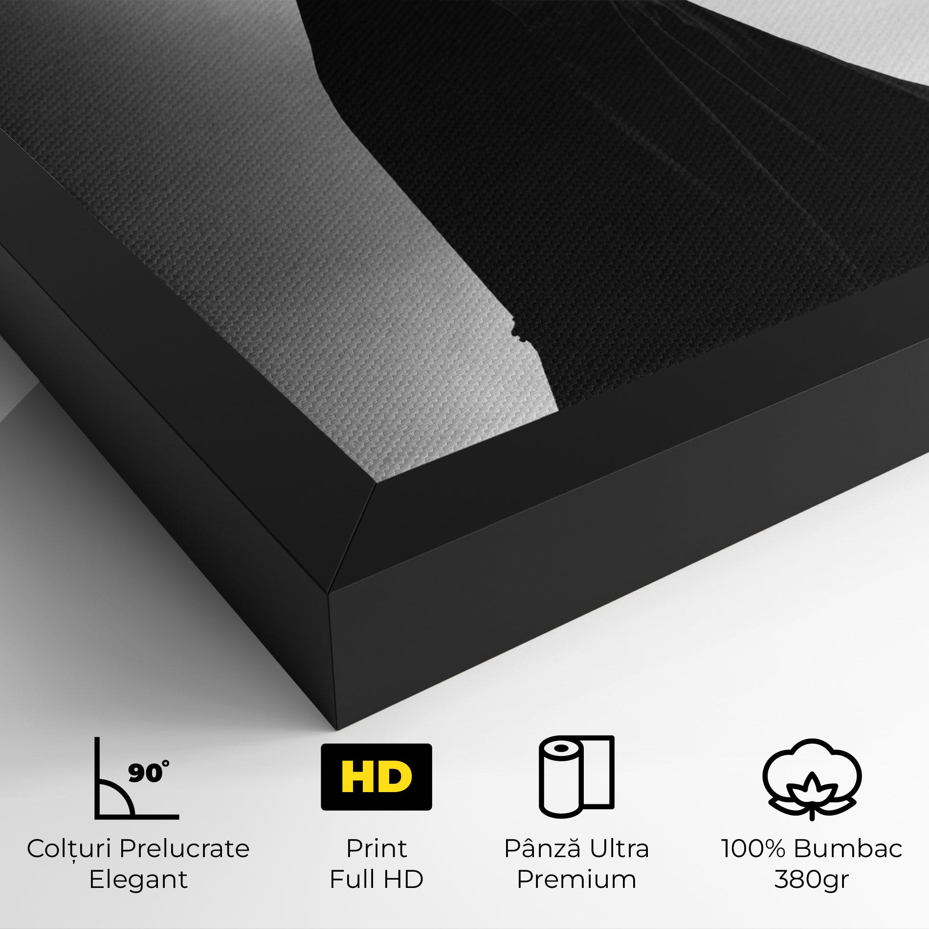 Tablou Canvas Full Shot Dancer mockup 4