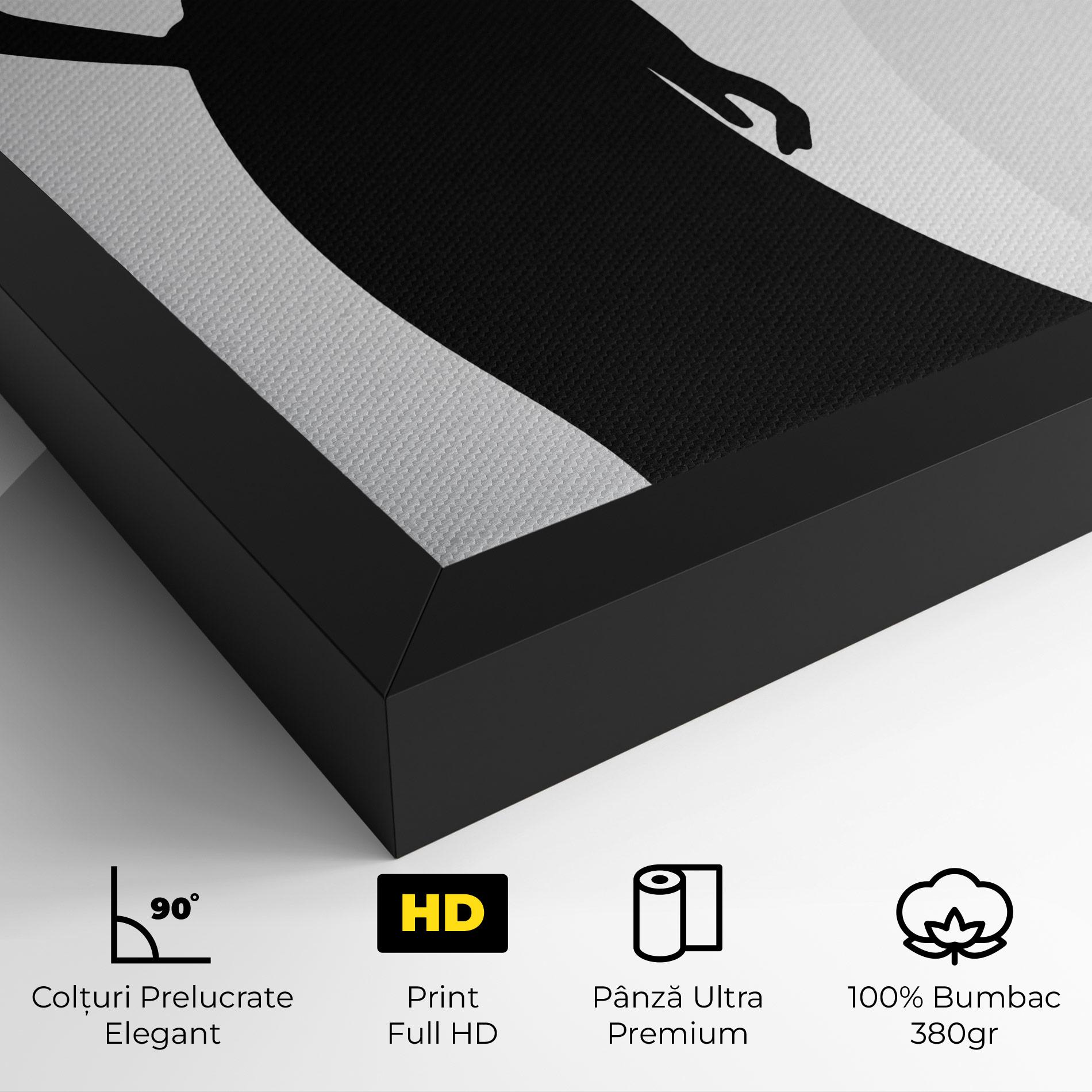 Tablou Canvas Silhouette Lady mockup 4