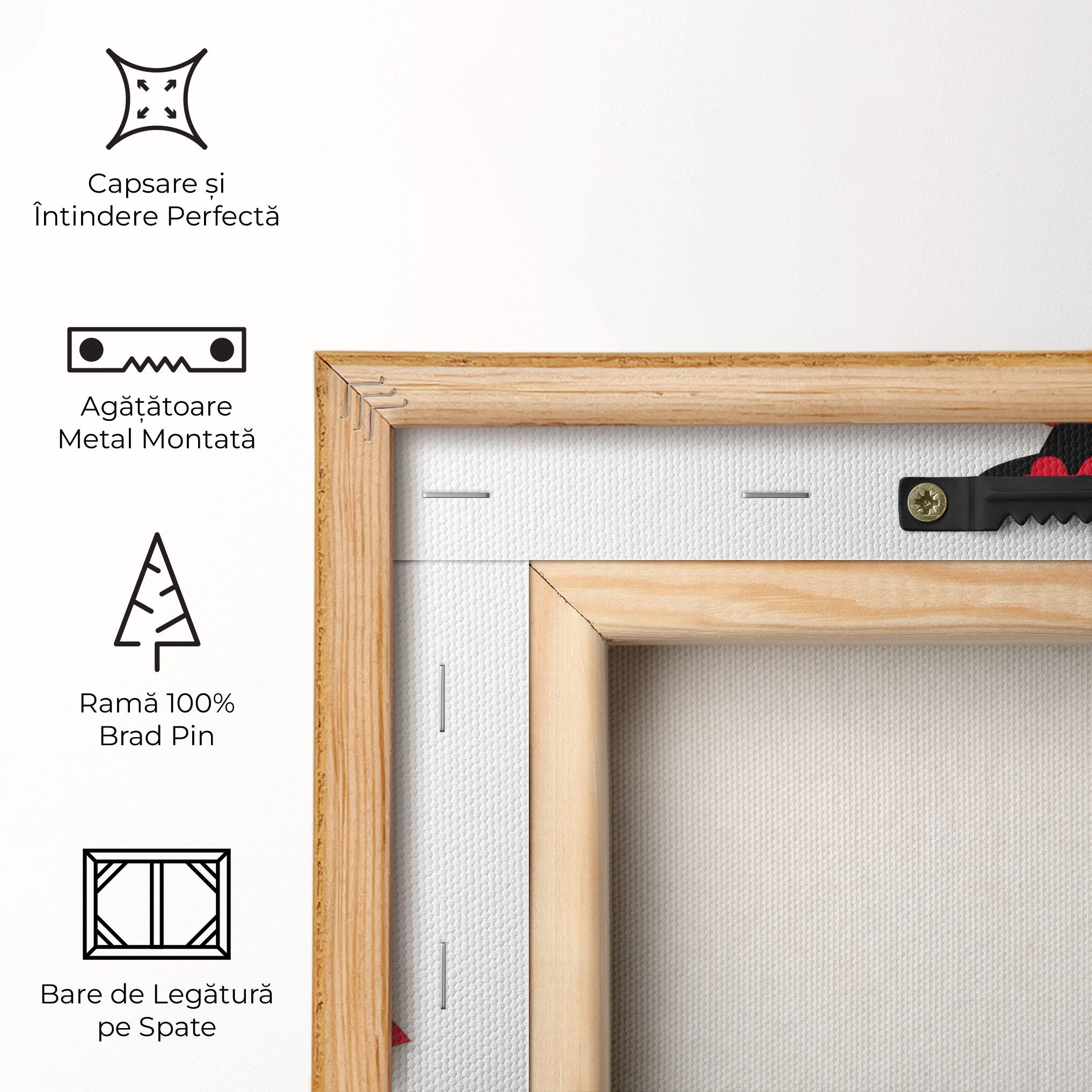 Pink Outfit Woman mockup 5