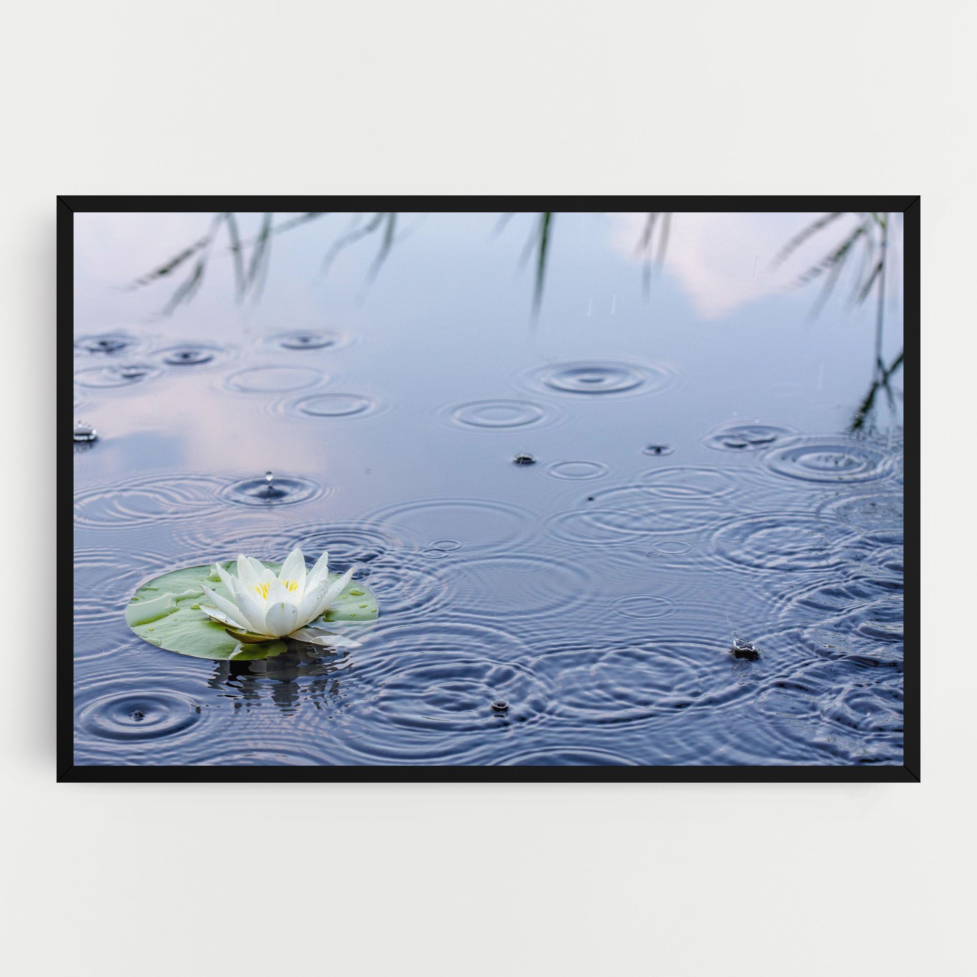 Clear Lake Rain mockup 0