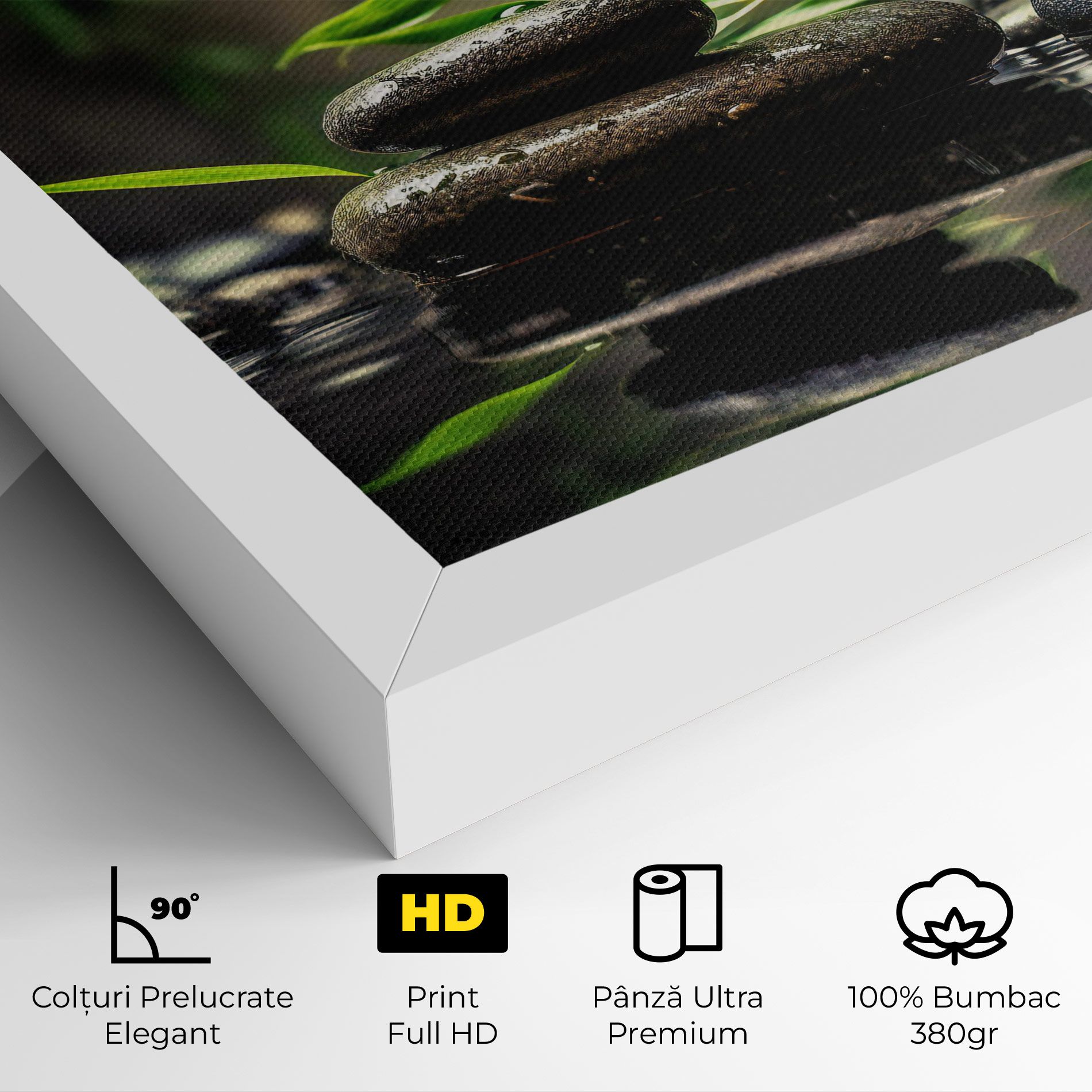 Bamboo Plant Water mockup 4
