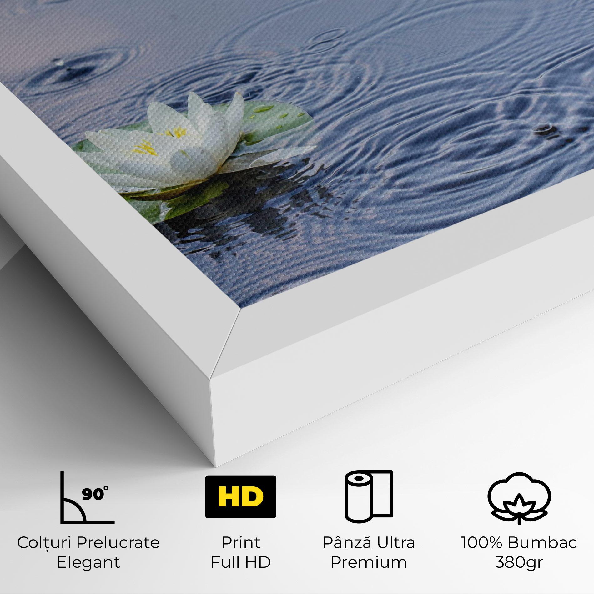 Tablou Canvas Clear Lake Rain mockup 4
