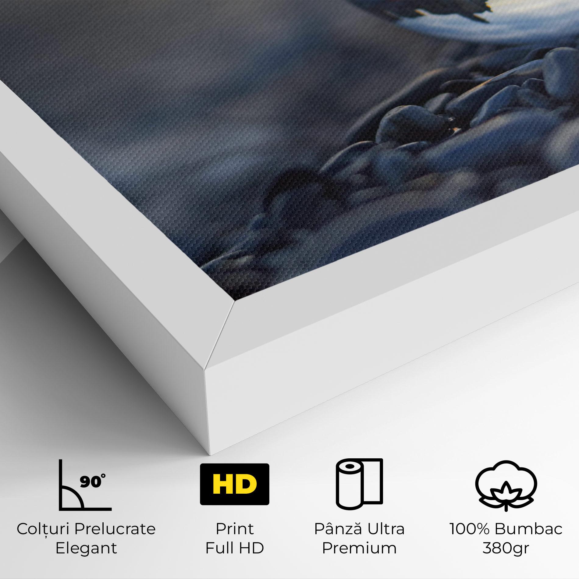 Tablou Canvas Sunset Lensball mockup 4