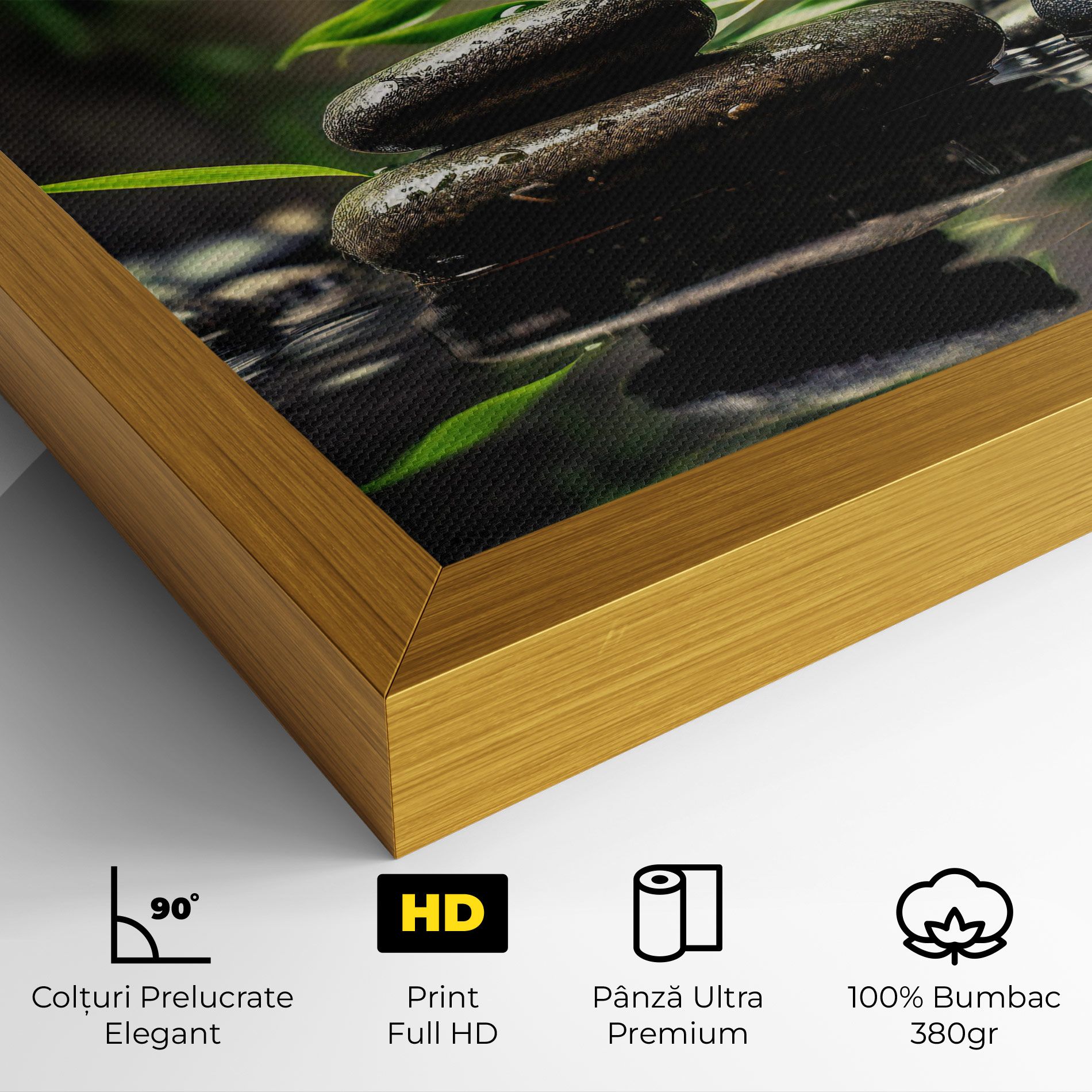 Bamboo Plant Water mockup 4