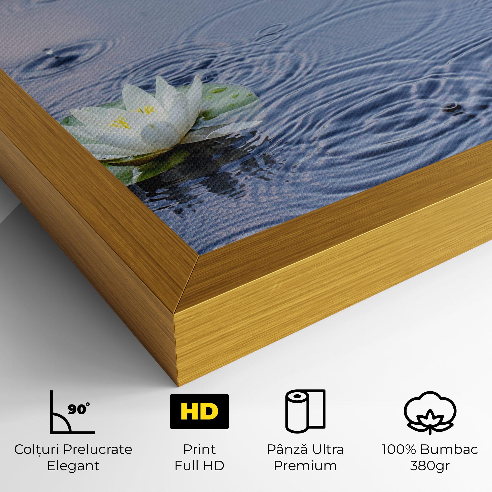 Tablou Canvas Clear Lake Rain mockup 4