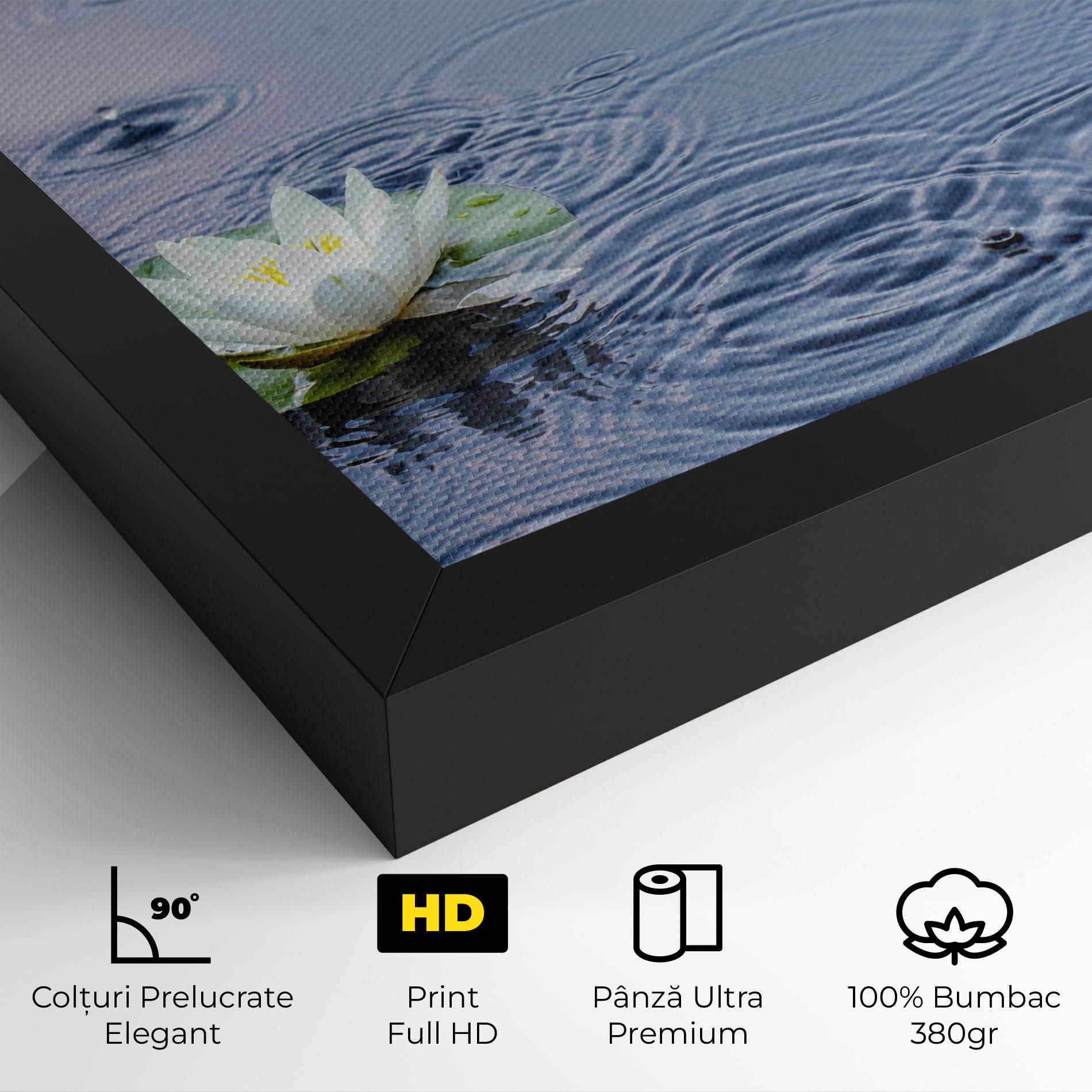 Tablou Canvas Clear Lake Rain mockup 4