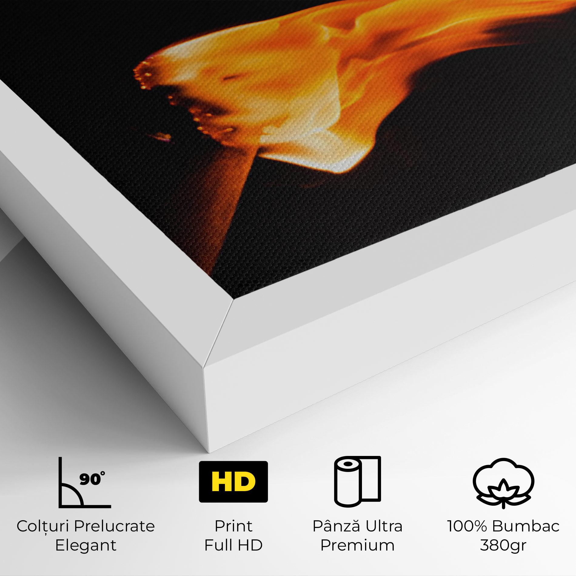 Tablou Canvas Art Fire mockup 4