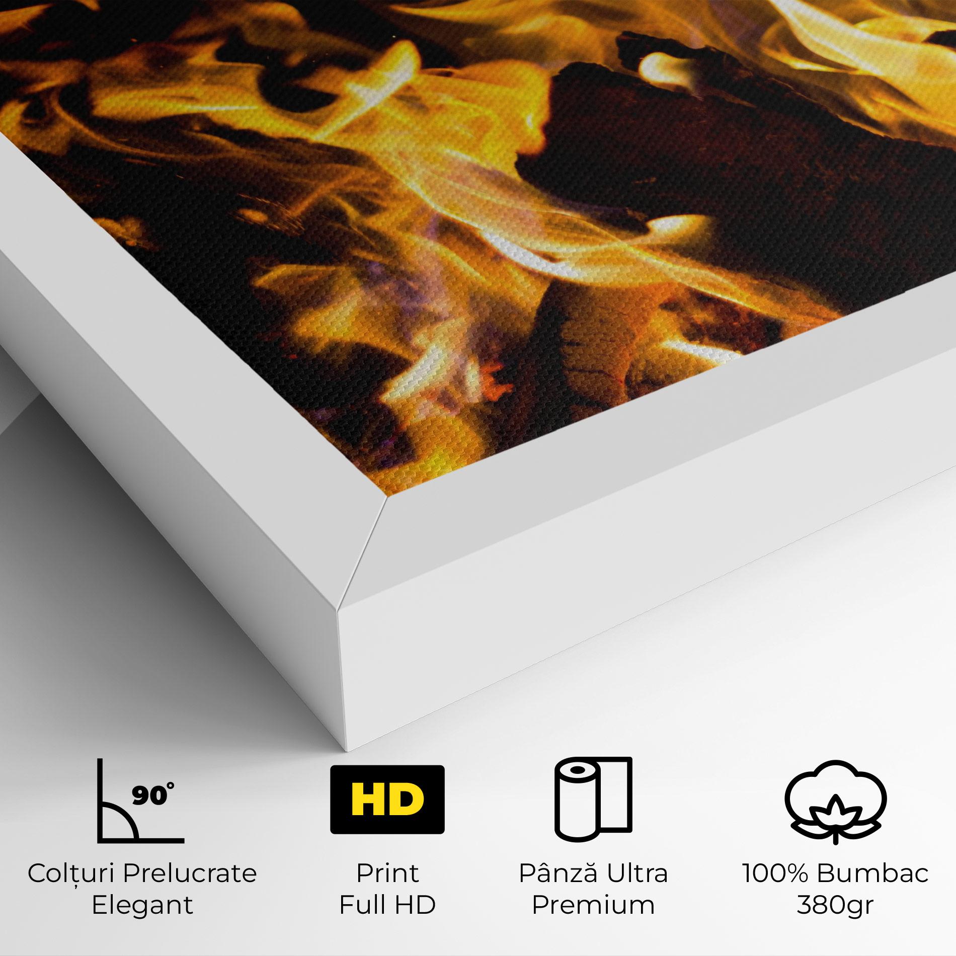Tablou Canvas Fire Dance mockup 4