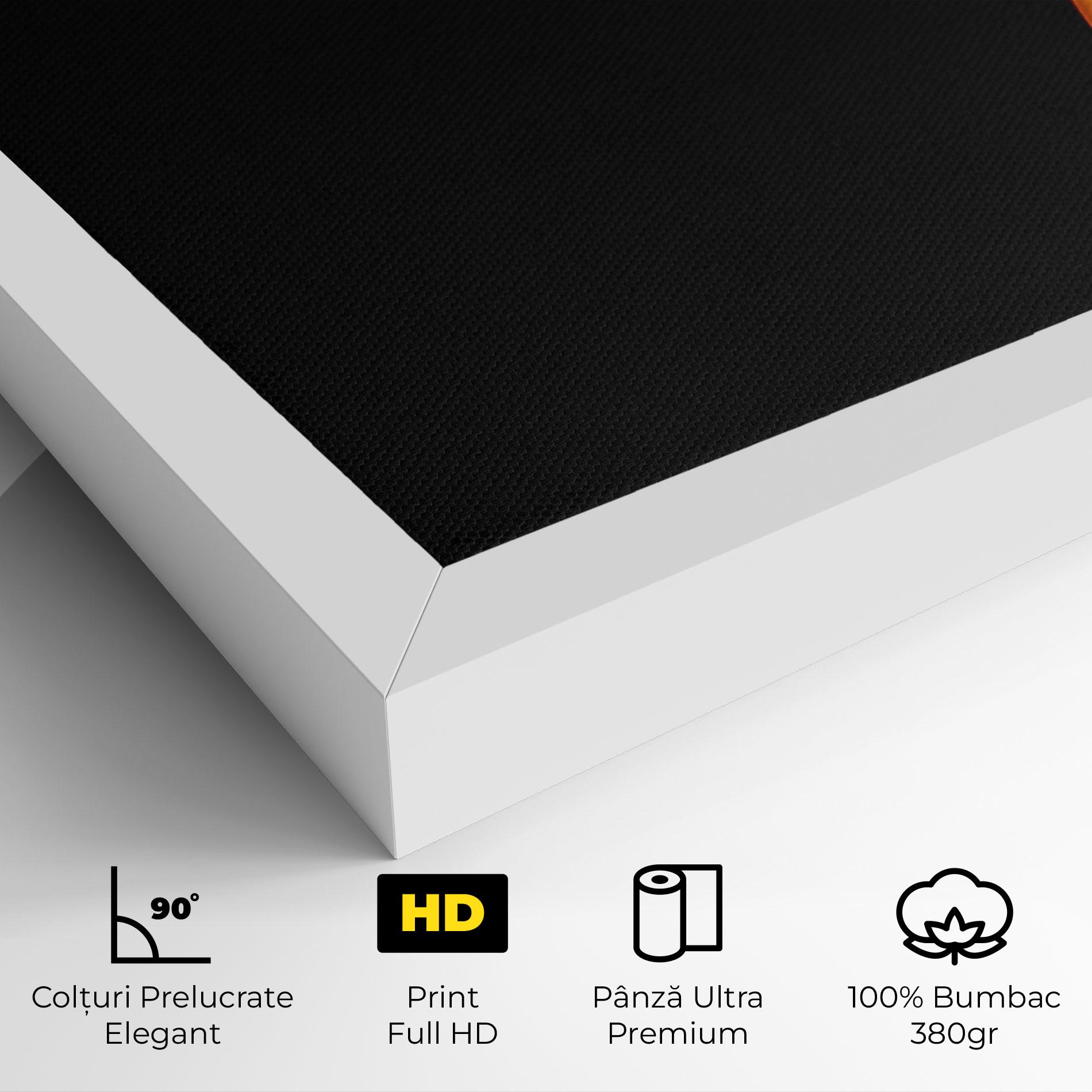 Tablou Canvas Flame Relax mockup 4