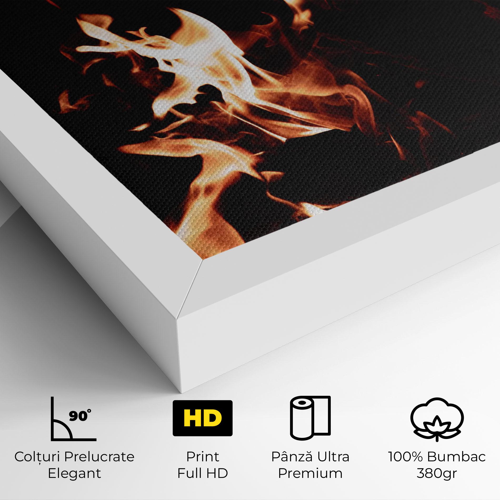 Tablou Canvas Red Grey Fire mockup 4