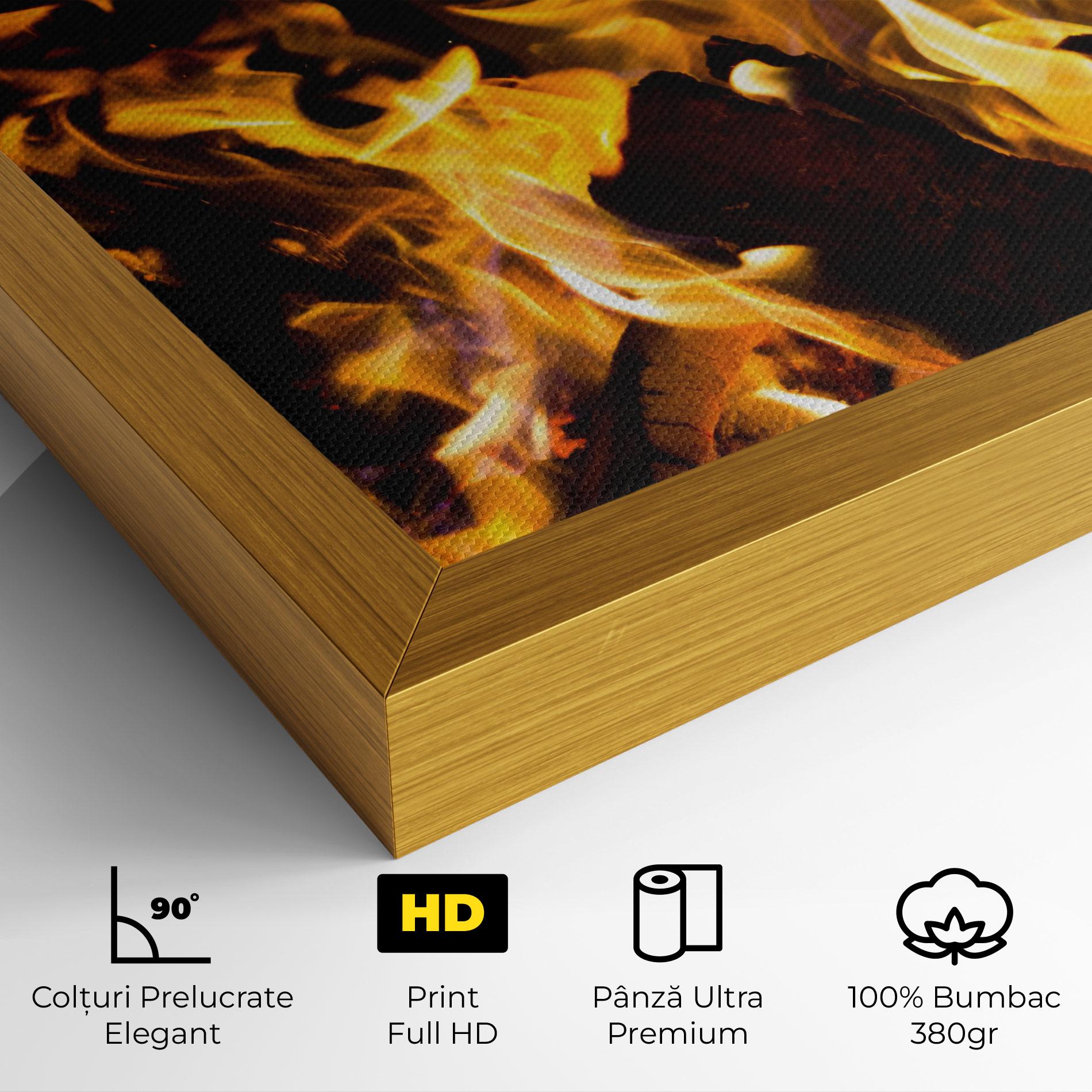 Tablou Canvas Fire Dance mockup 4
