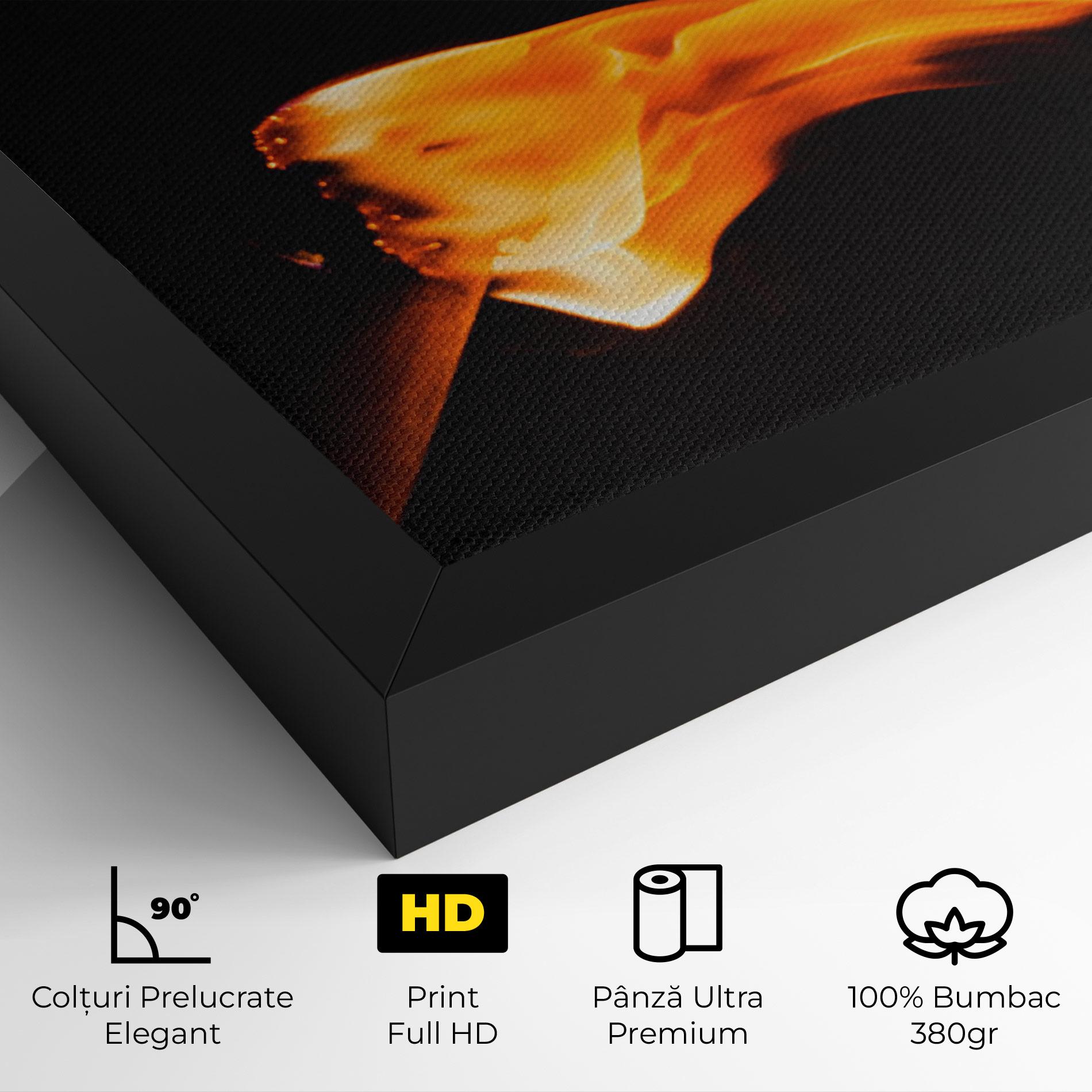 Tablou Canvas Art Fire mockup 4