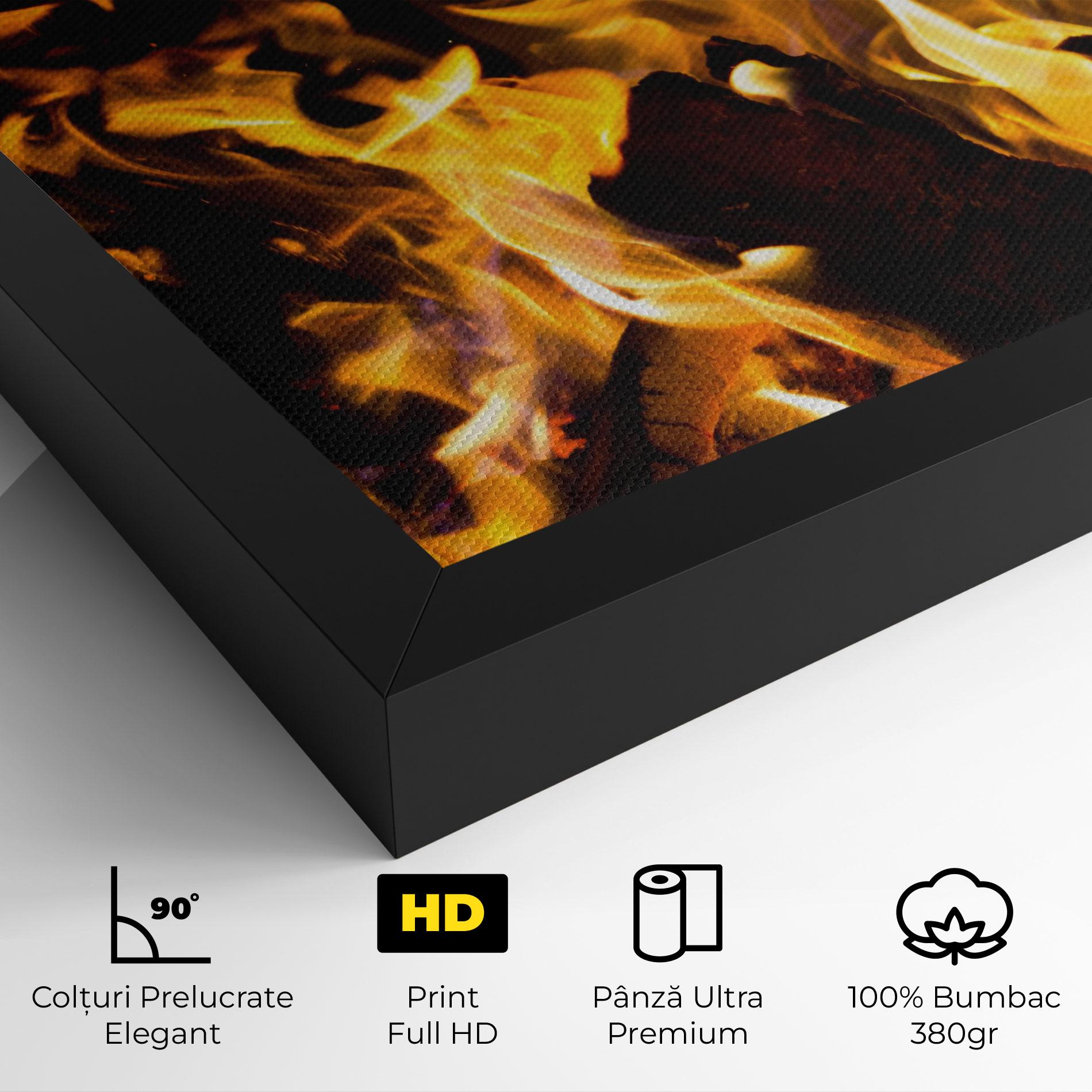 Tablou Canvas Fire Dance mockup 4