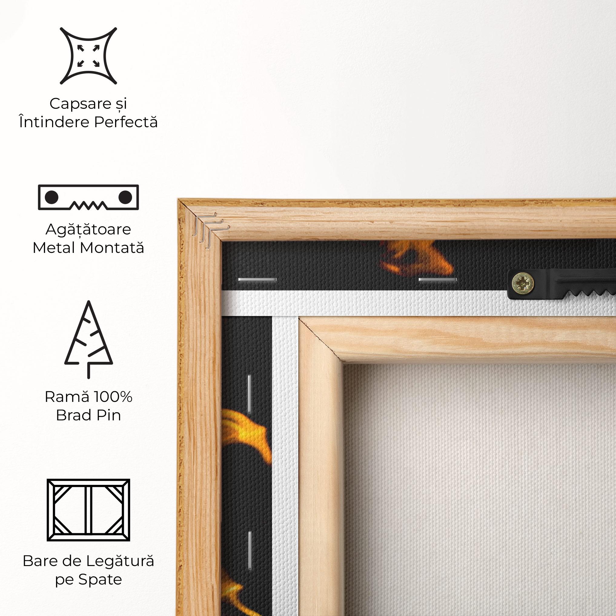 Tablou Canvas Fire Dance mockup 5