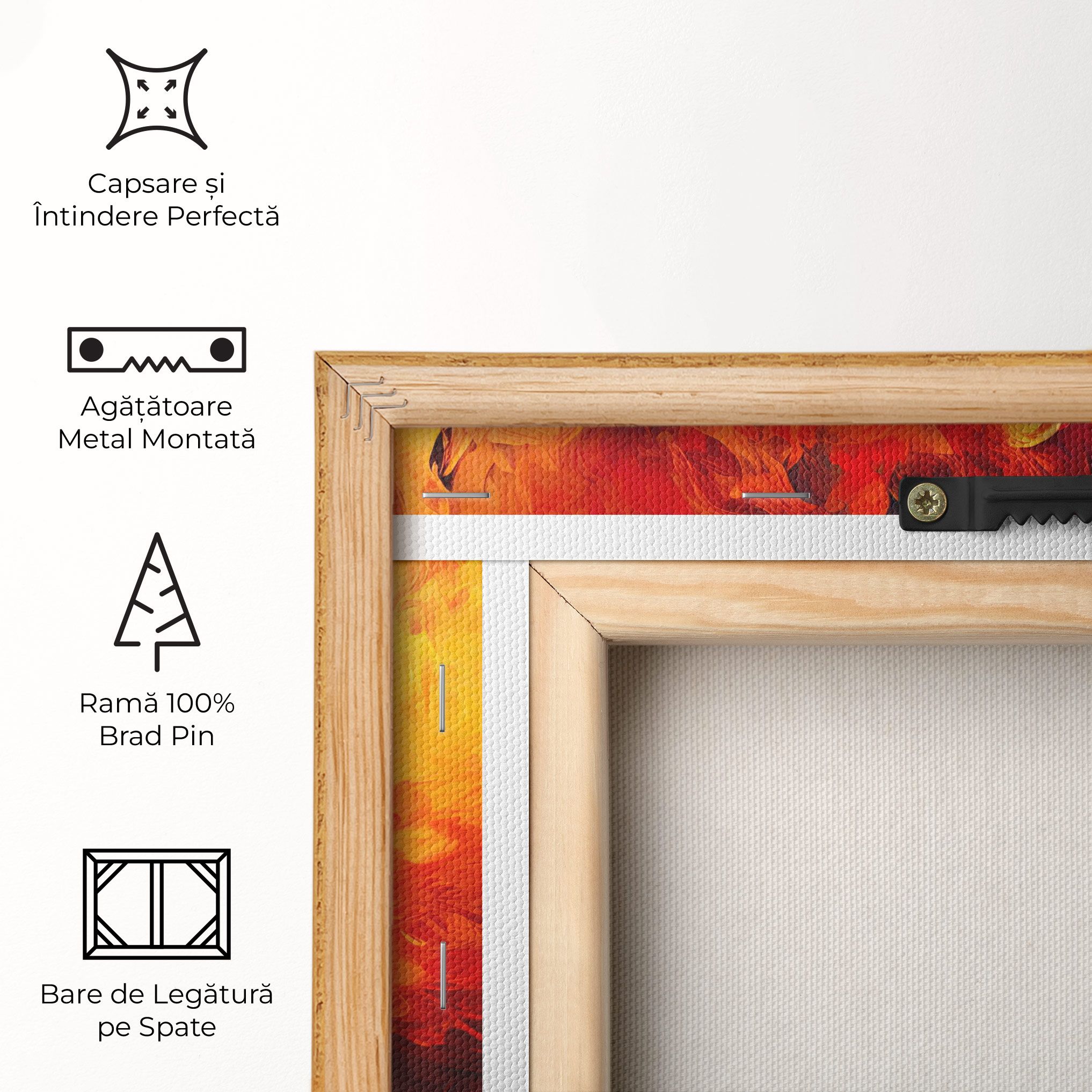 Ignite Radiance mockup 5