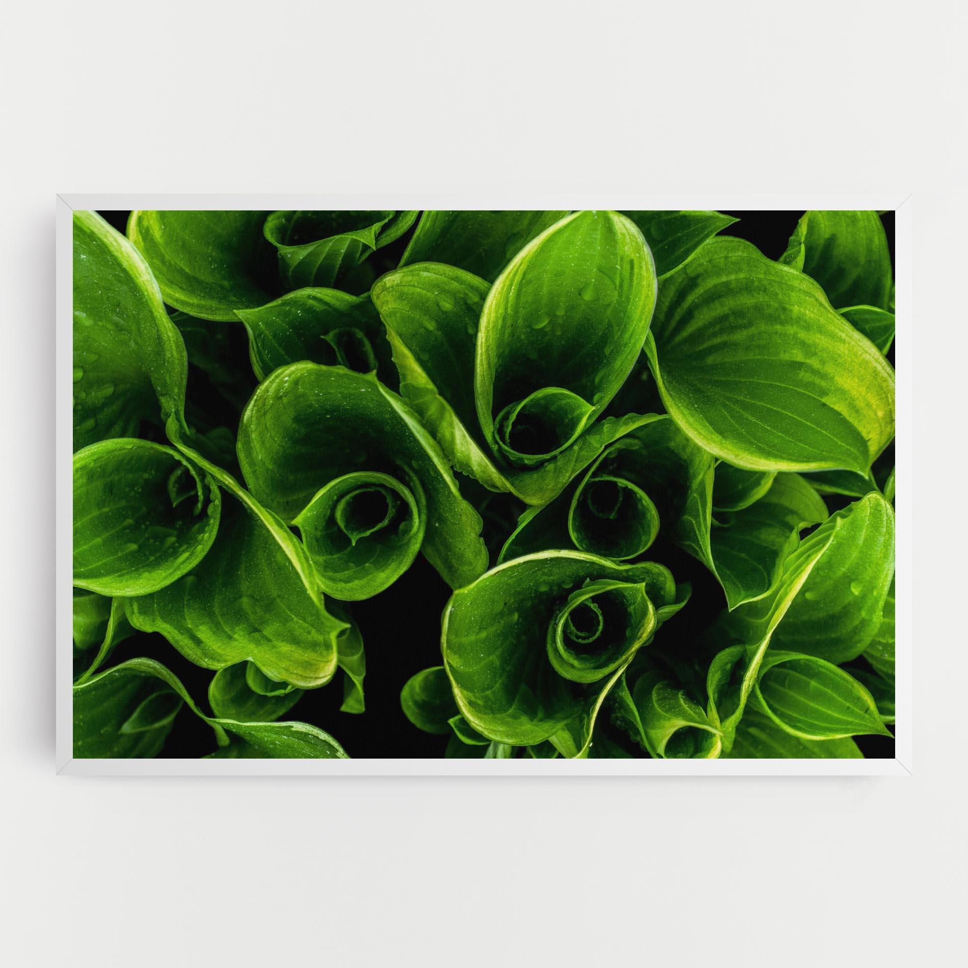 Tablou Canvas Green Nature View mockup 0