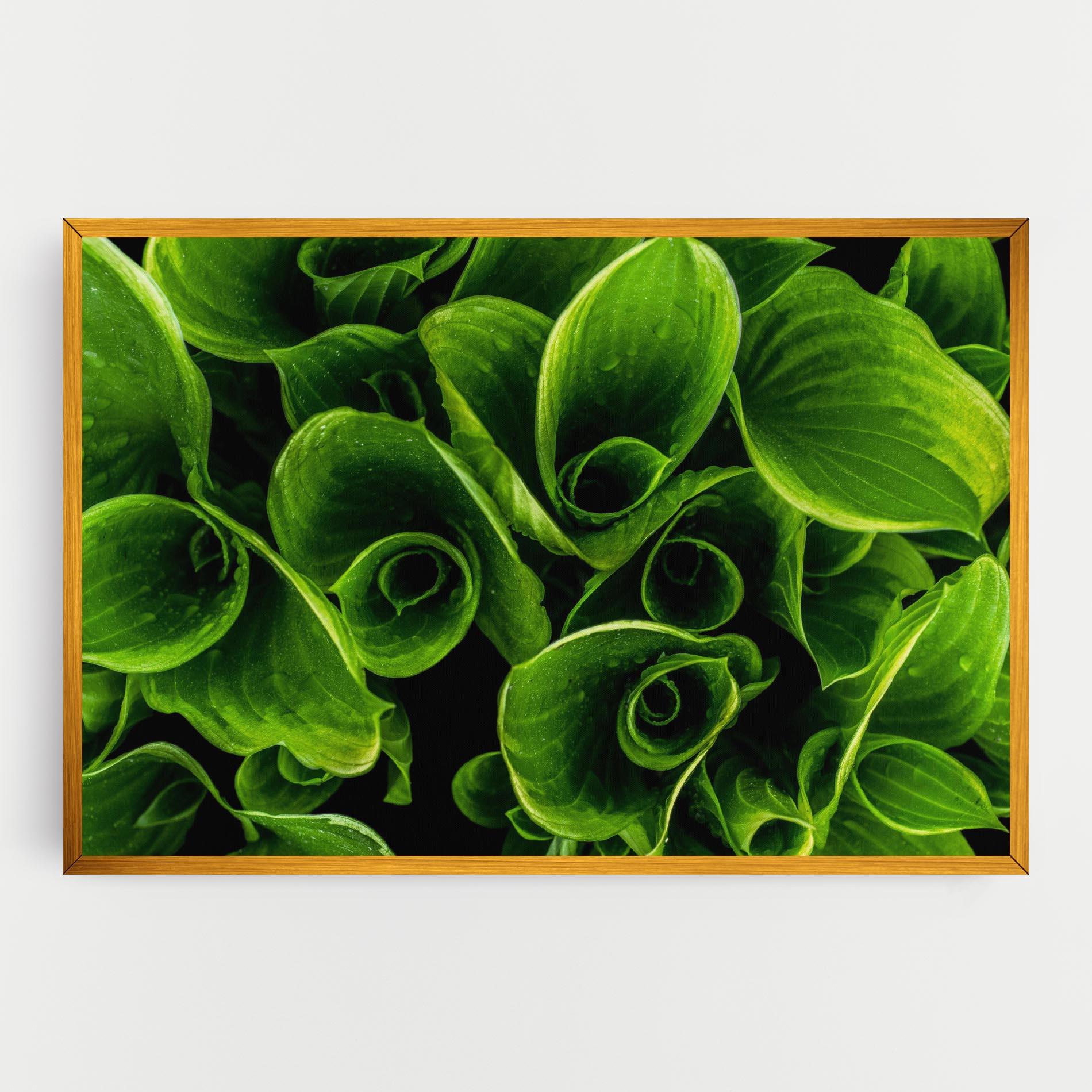 Tablou Canvas Green Nature View mockup 0