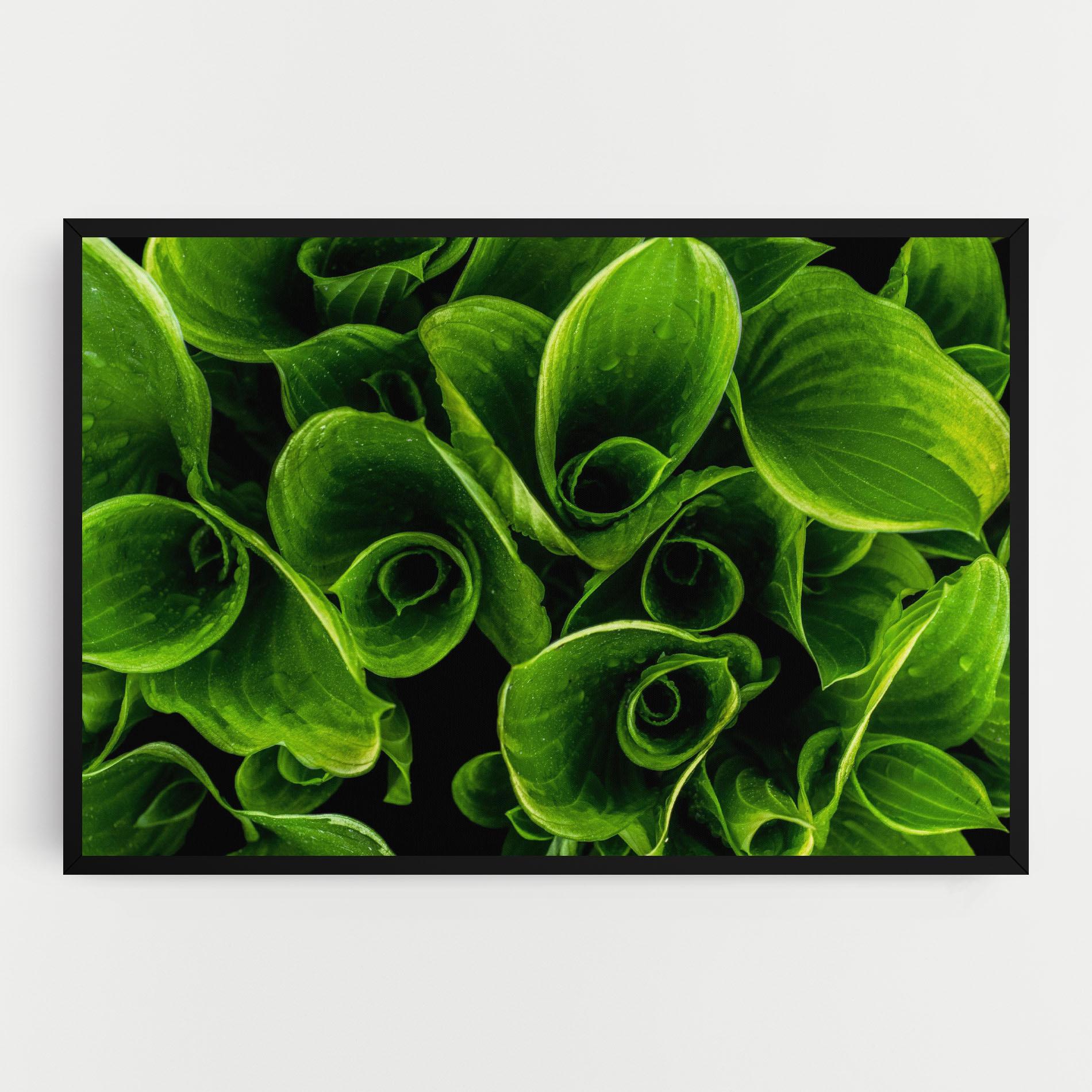 Tablou Canvas Green Nature View mockup 0