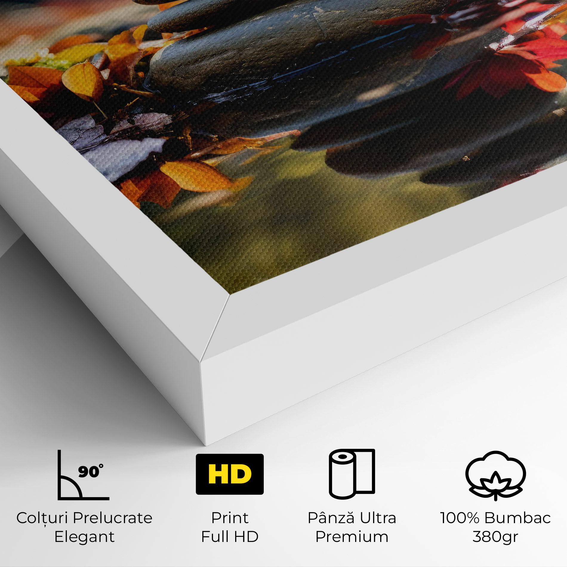 Tablou Canvas Autumn Stones mockup 4