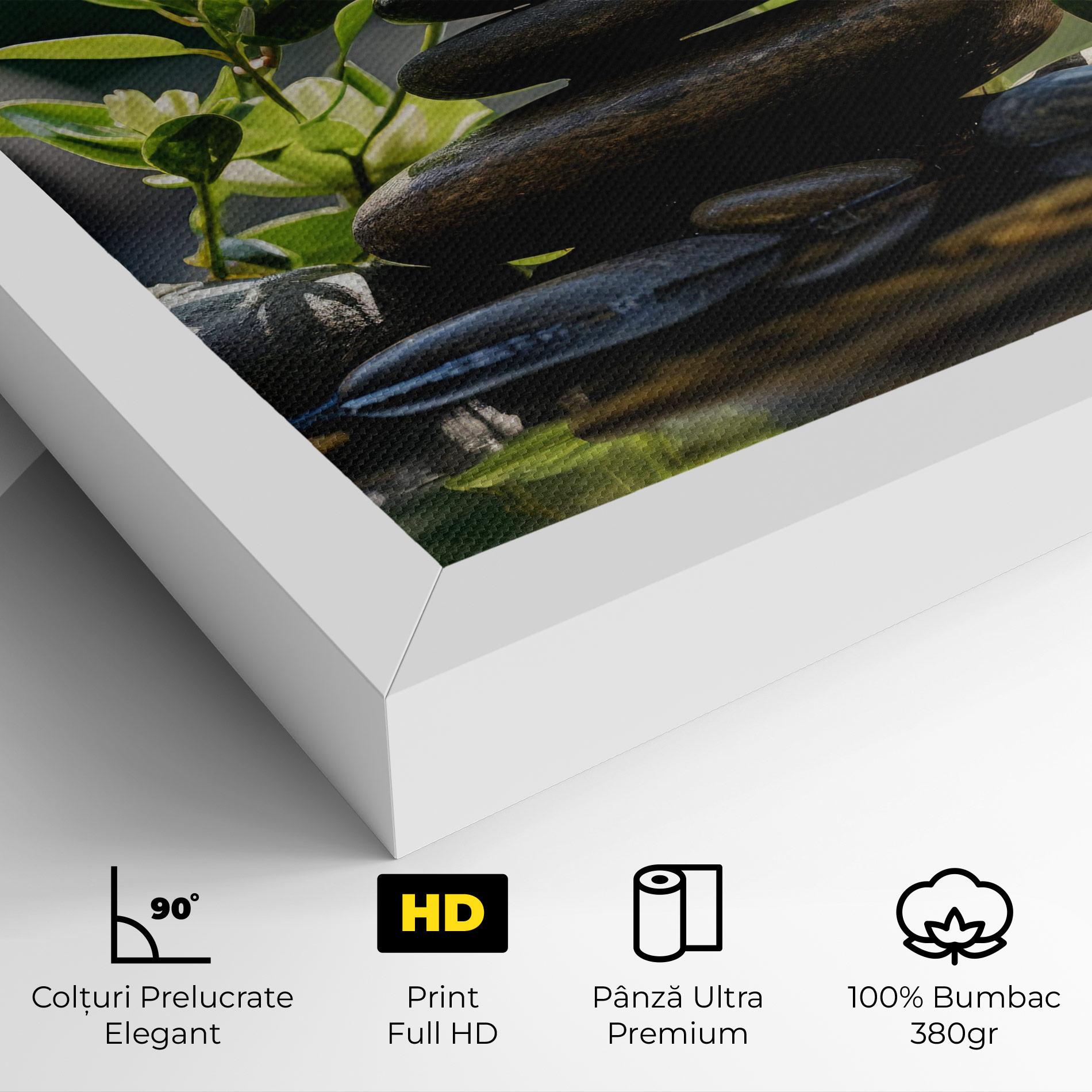Tablou Canvas Cinematic Stones mockup 4