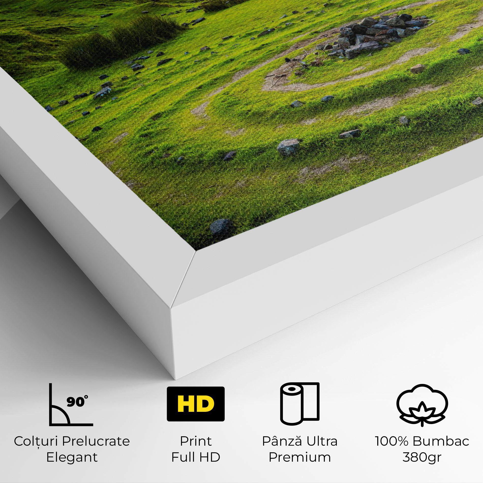Tablou Canvas Green Circle Nature mockup 4