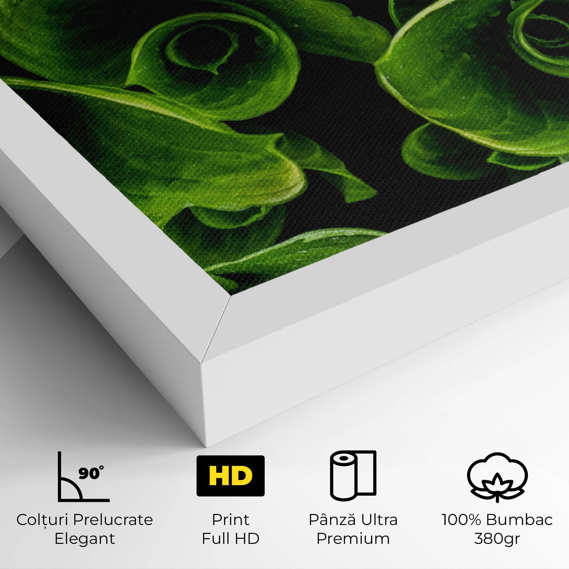 Tablou Canvas Green Nature View mockup 4