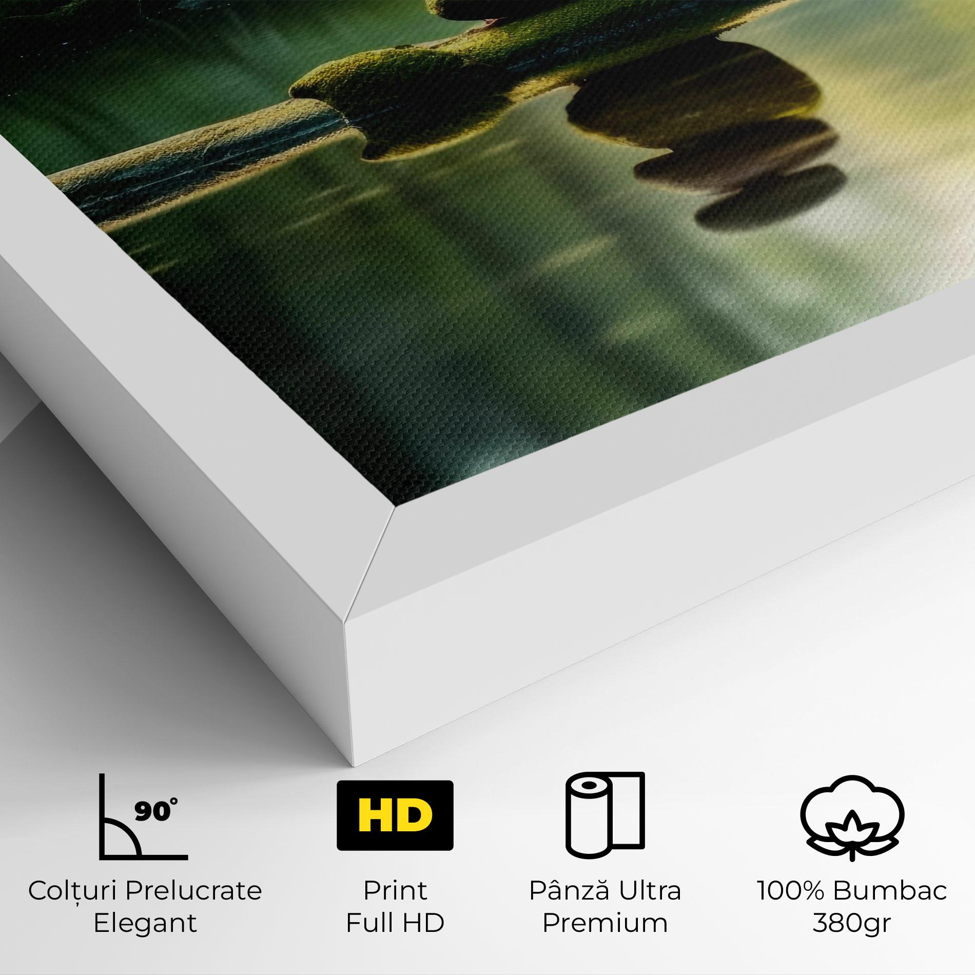 Tablou Canvas Spiritual Stones mockup 4