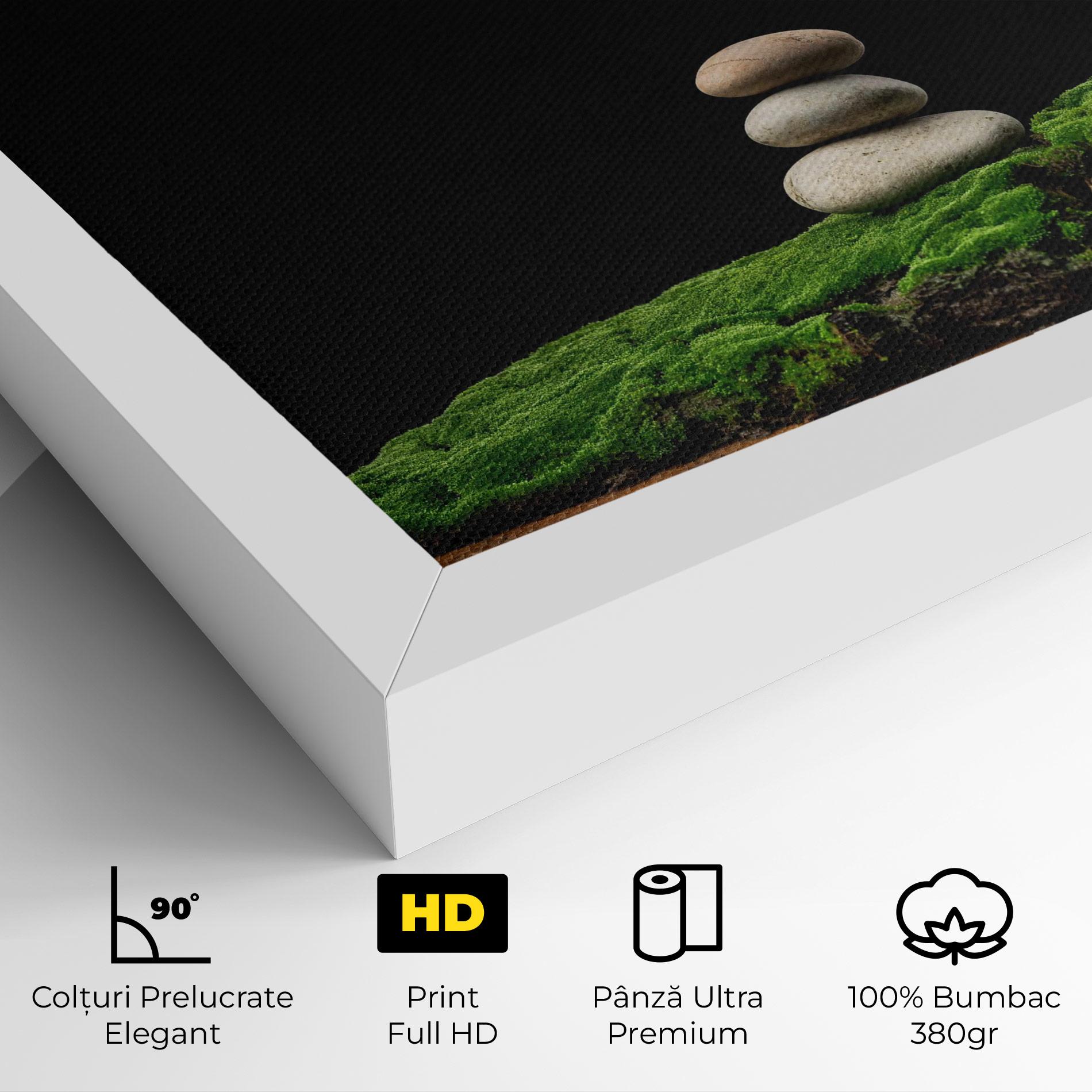 Tablou Canvas Three Stone Moss mockup 4