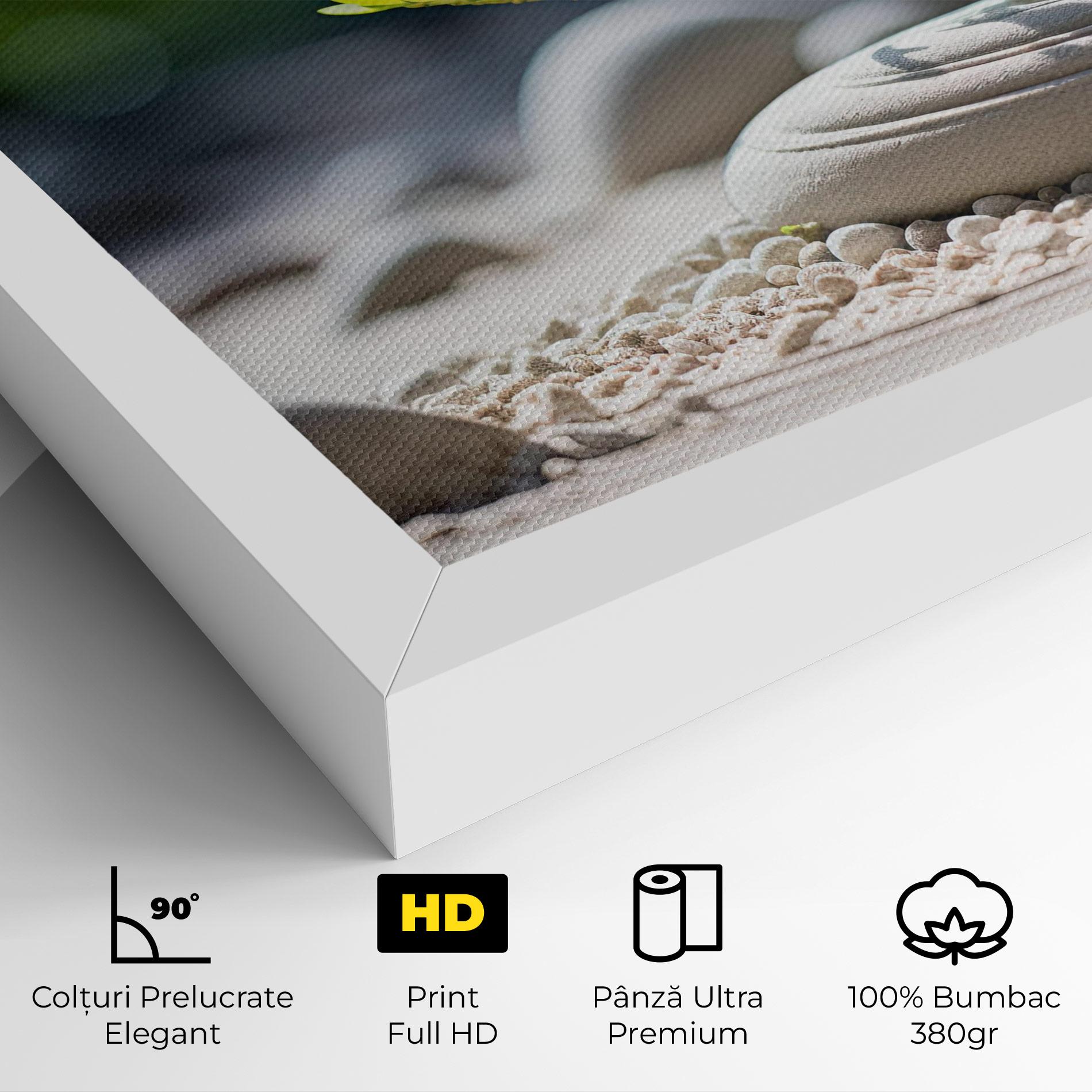 Tablou Canvas White Pebbles Plants mockup 4