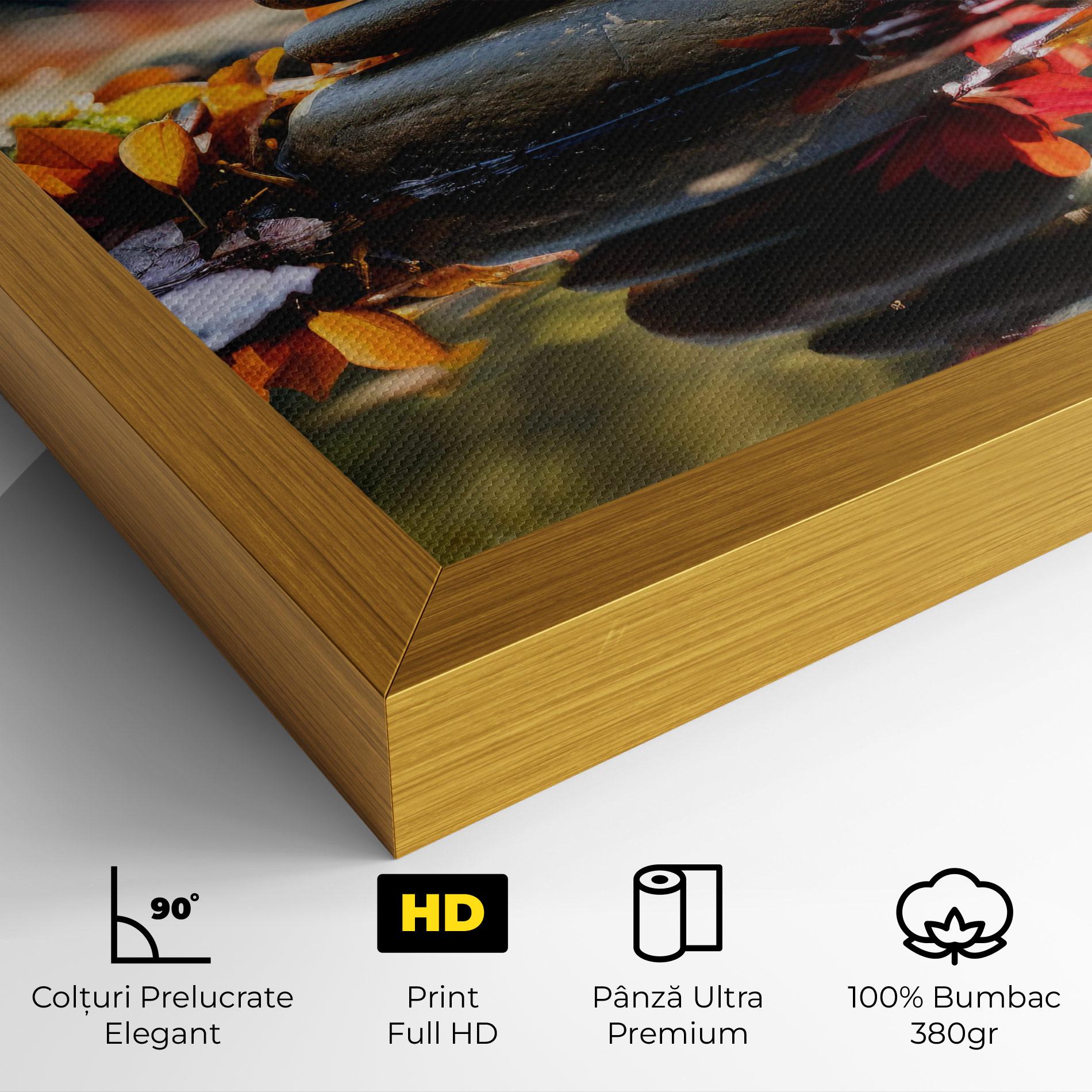 Tablou Canvas Autumn Stones mockup 4