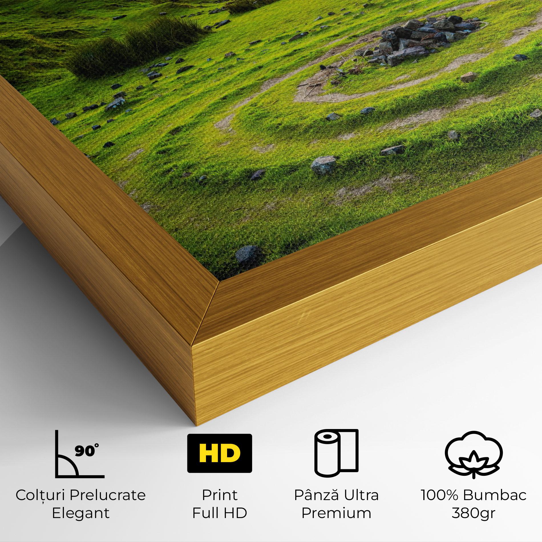 Tablou Canvas Green Circle Nature mockup 4