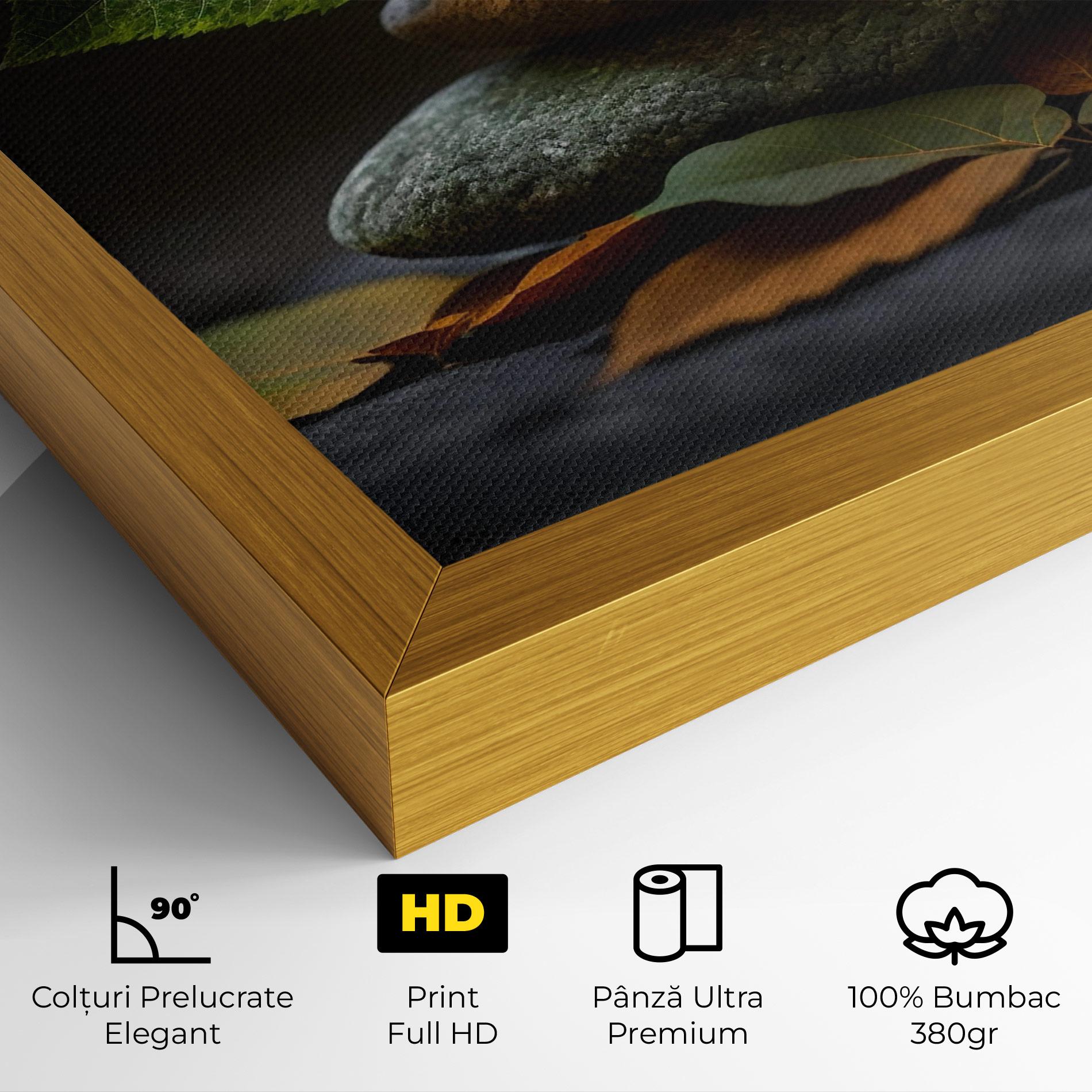 Tablou Canvas Harmony Stones mockup 4
